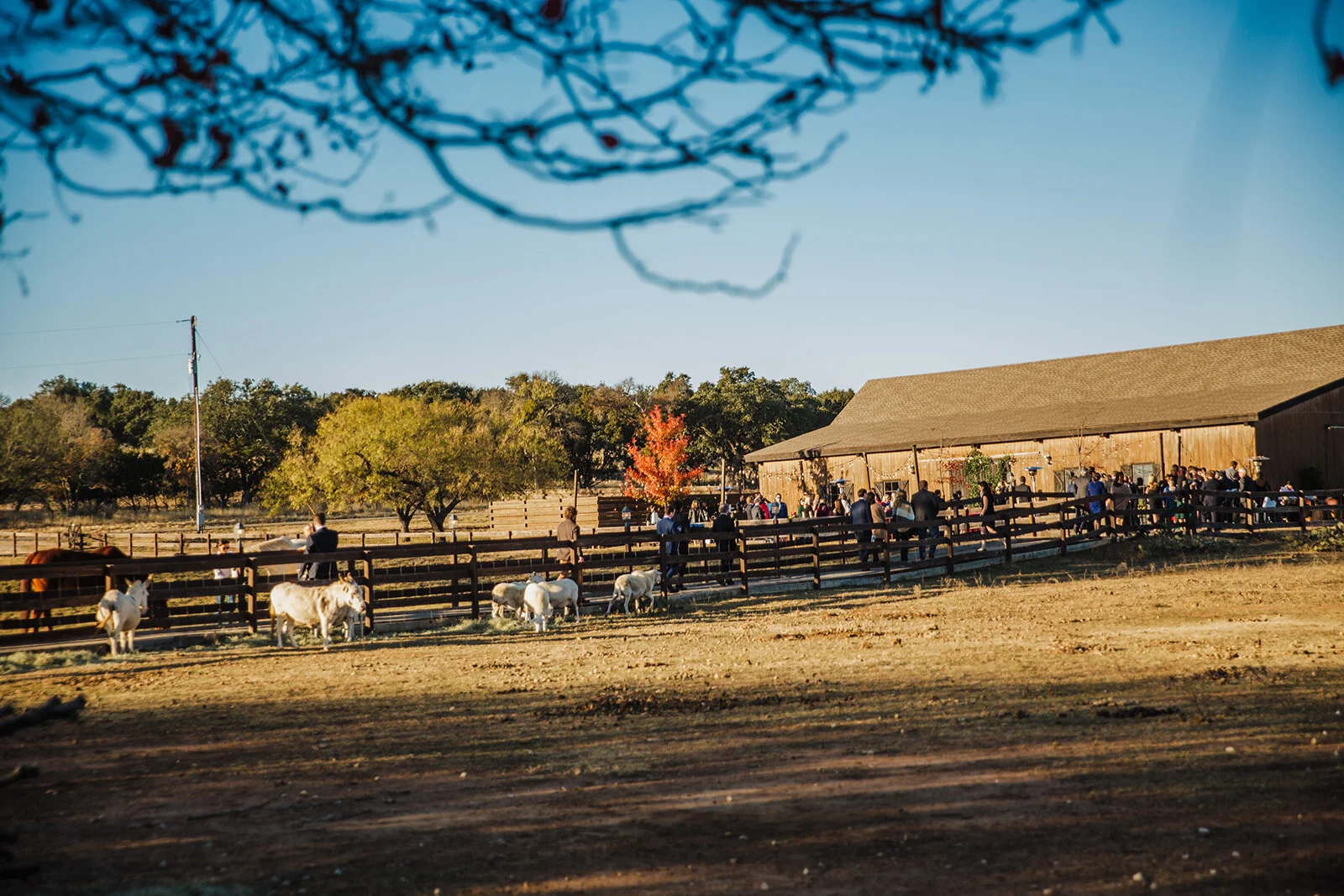 Laura and Chris5615_websize.jpg