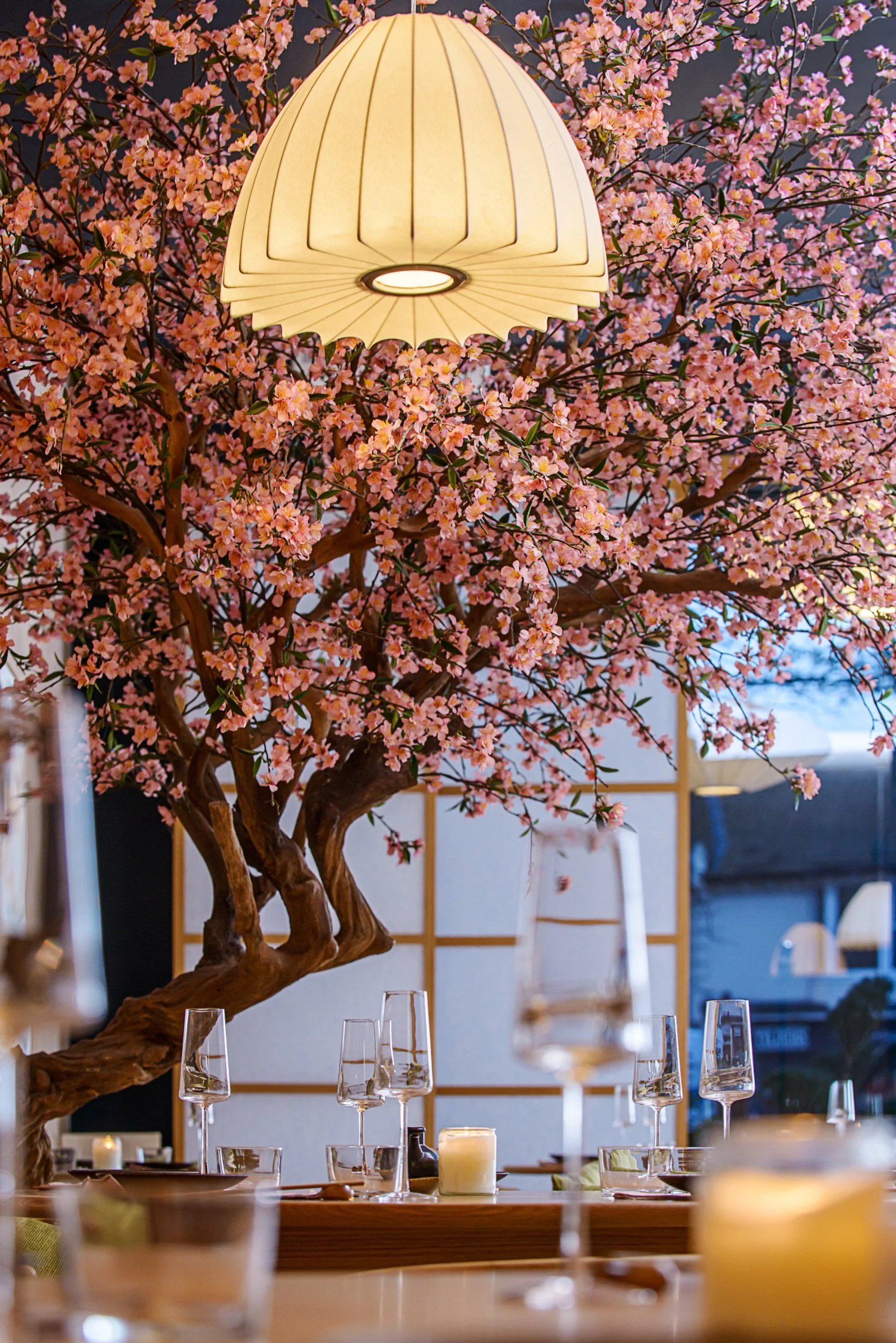 General 5 — KUSAKI Brighton Plant Based Vegan Japanese Restaurant and