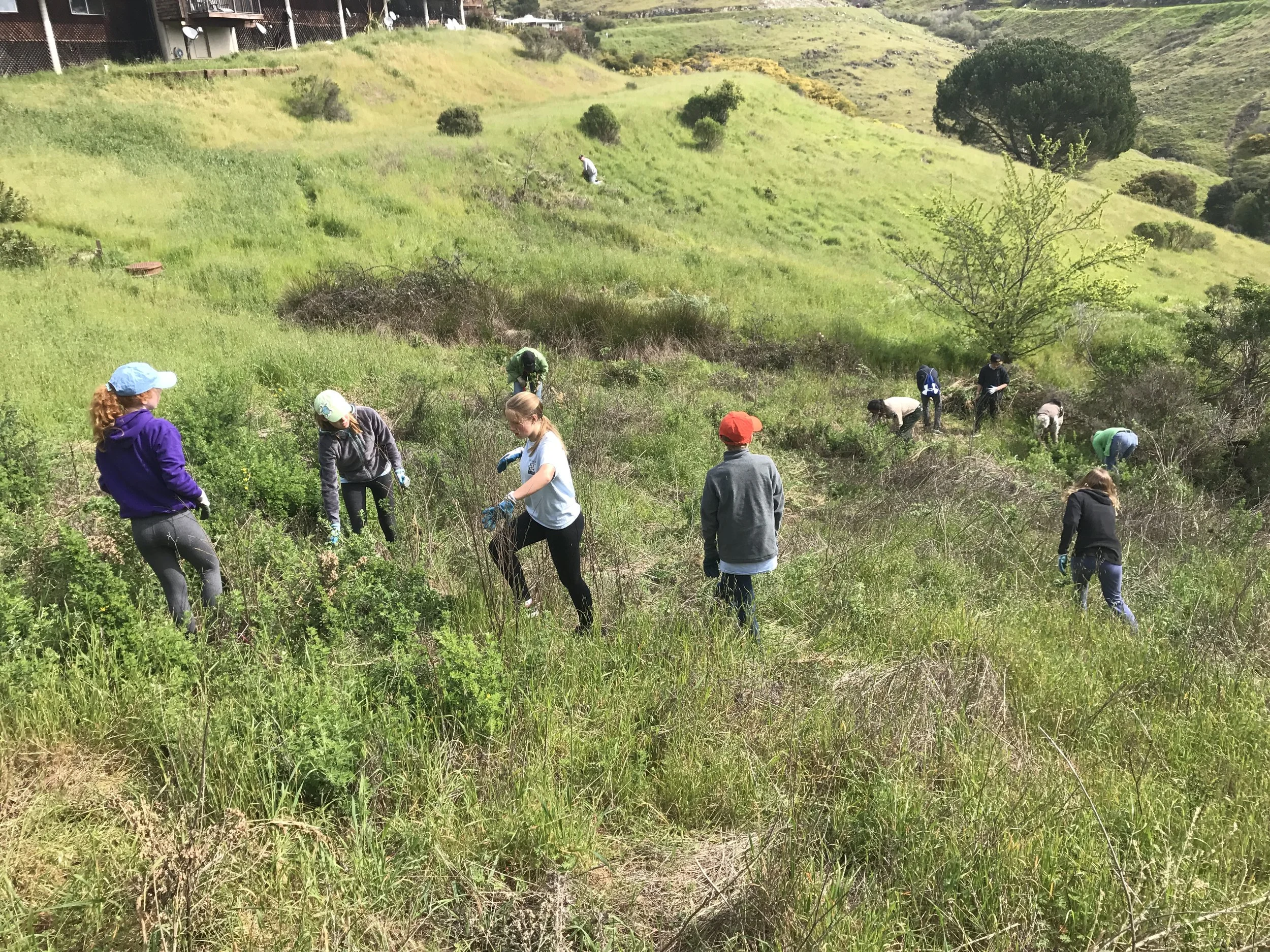 Teens volunteering in an open field