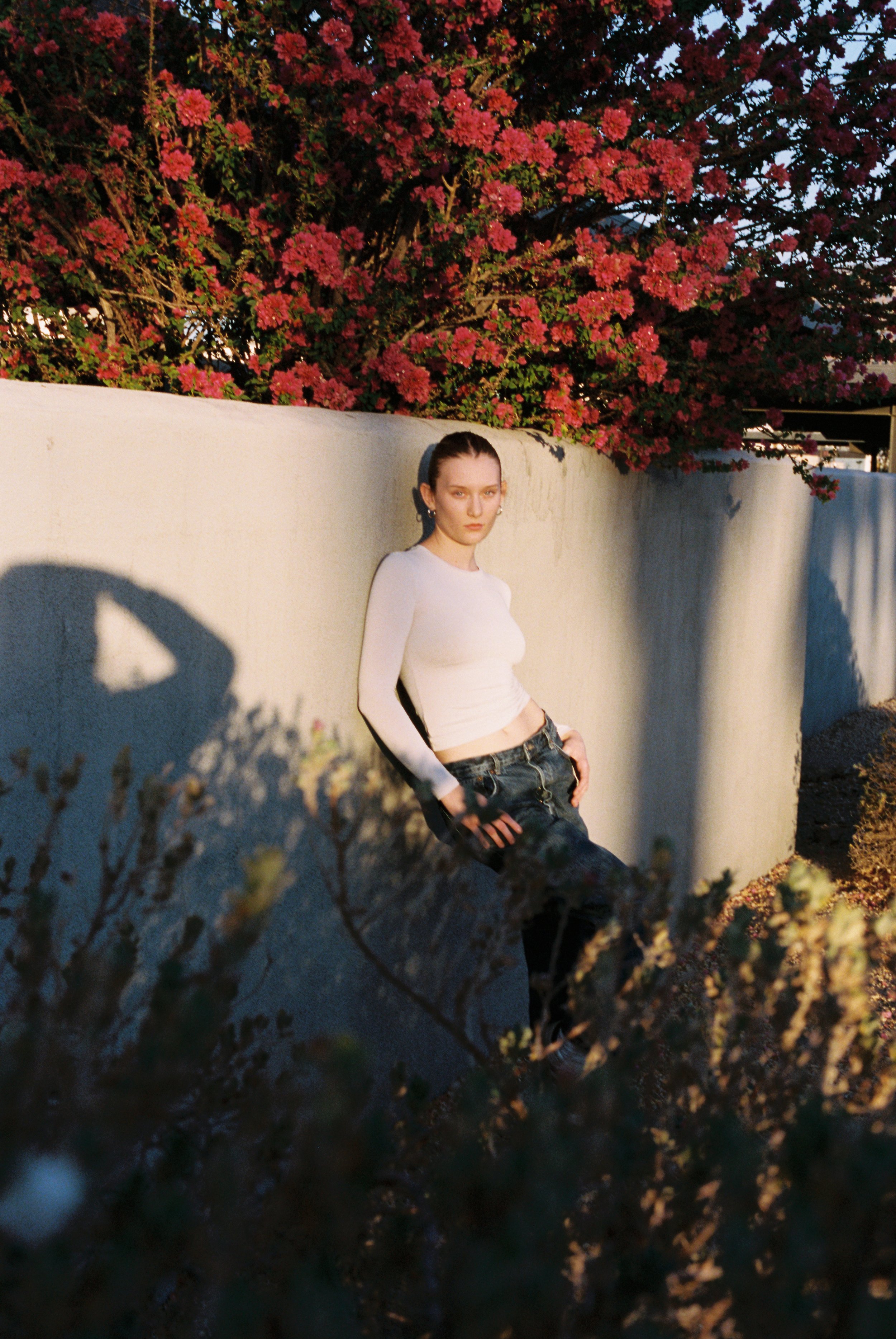 pc_ Orlando Pelagio(2).jpeg