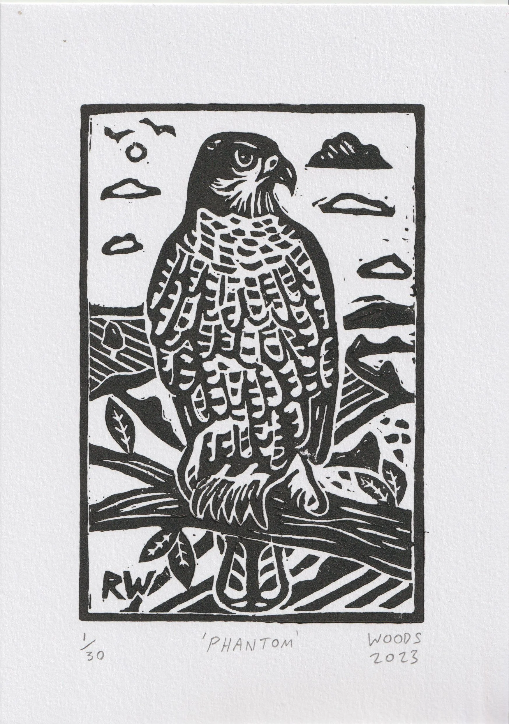 Phantom print 2023.jpeg