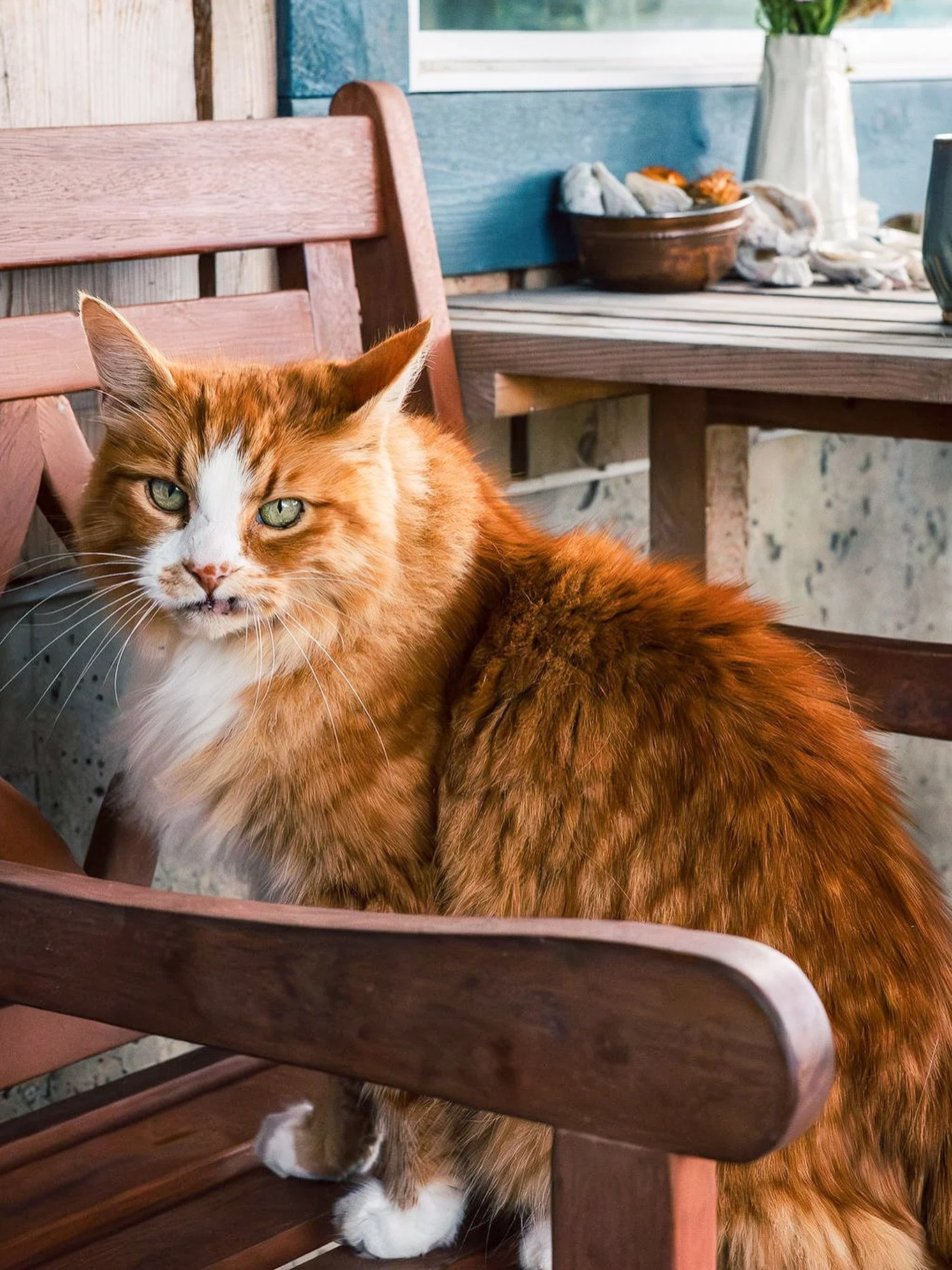 Taaw wants to remind you to be gentle with yourself this week while you&rsquo;re inundated with goals and resolutions and general feelings of not-enough-ness. 

Sure, he&rsquo;ll be using the occasion of the calendar swap to reflect and daydream, but