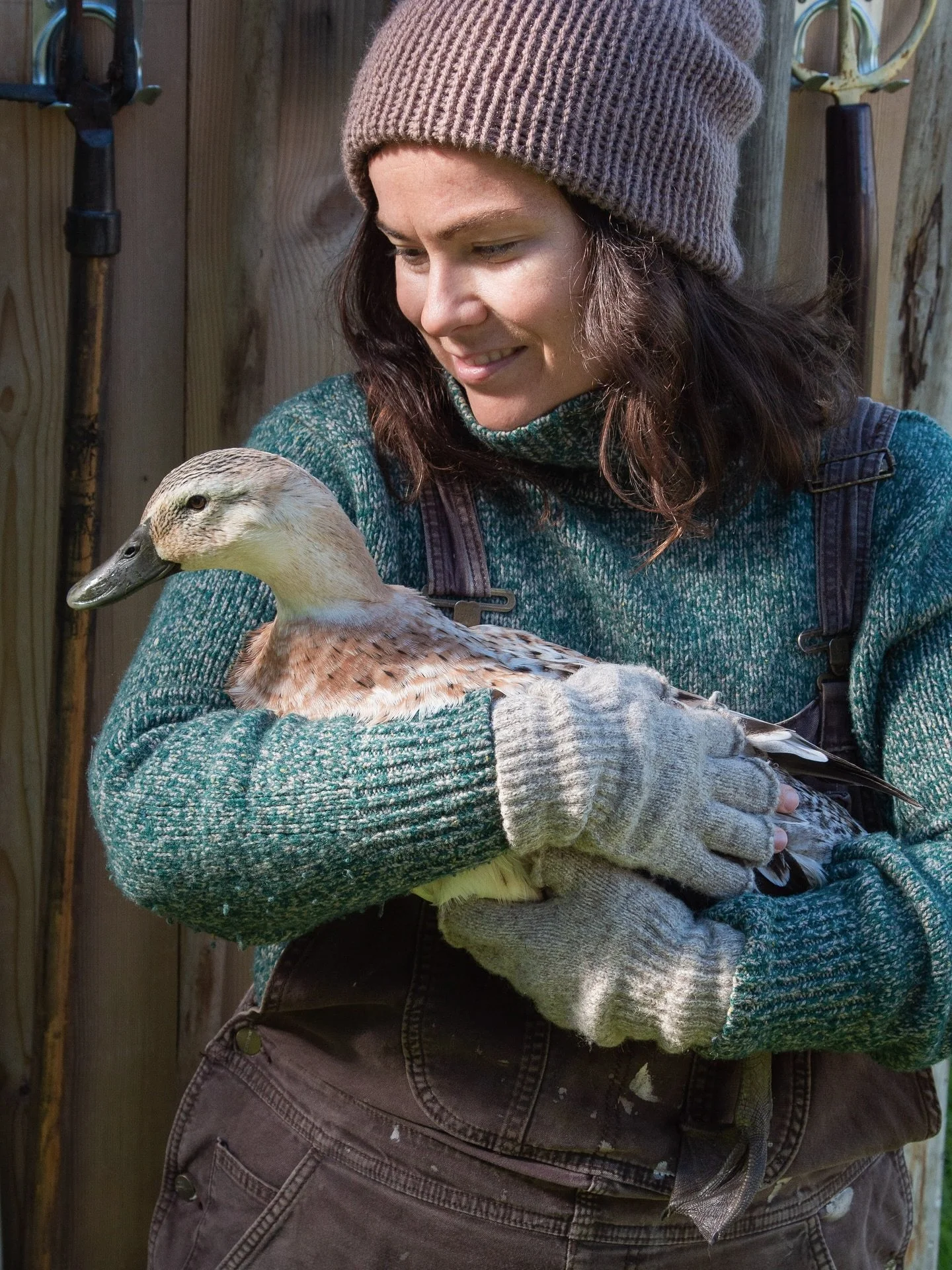 🦆💌 We&rsquo;re delighted tell you that early bird spots for Wondrous Workshops are now open!

Come learn how to host well-prepared, joyful, nourishing art workshops, the kind you&rsquo;d *actually* want to attend yourself.. (even as an introvert 🙋