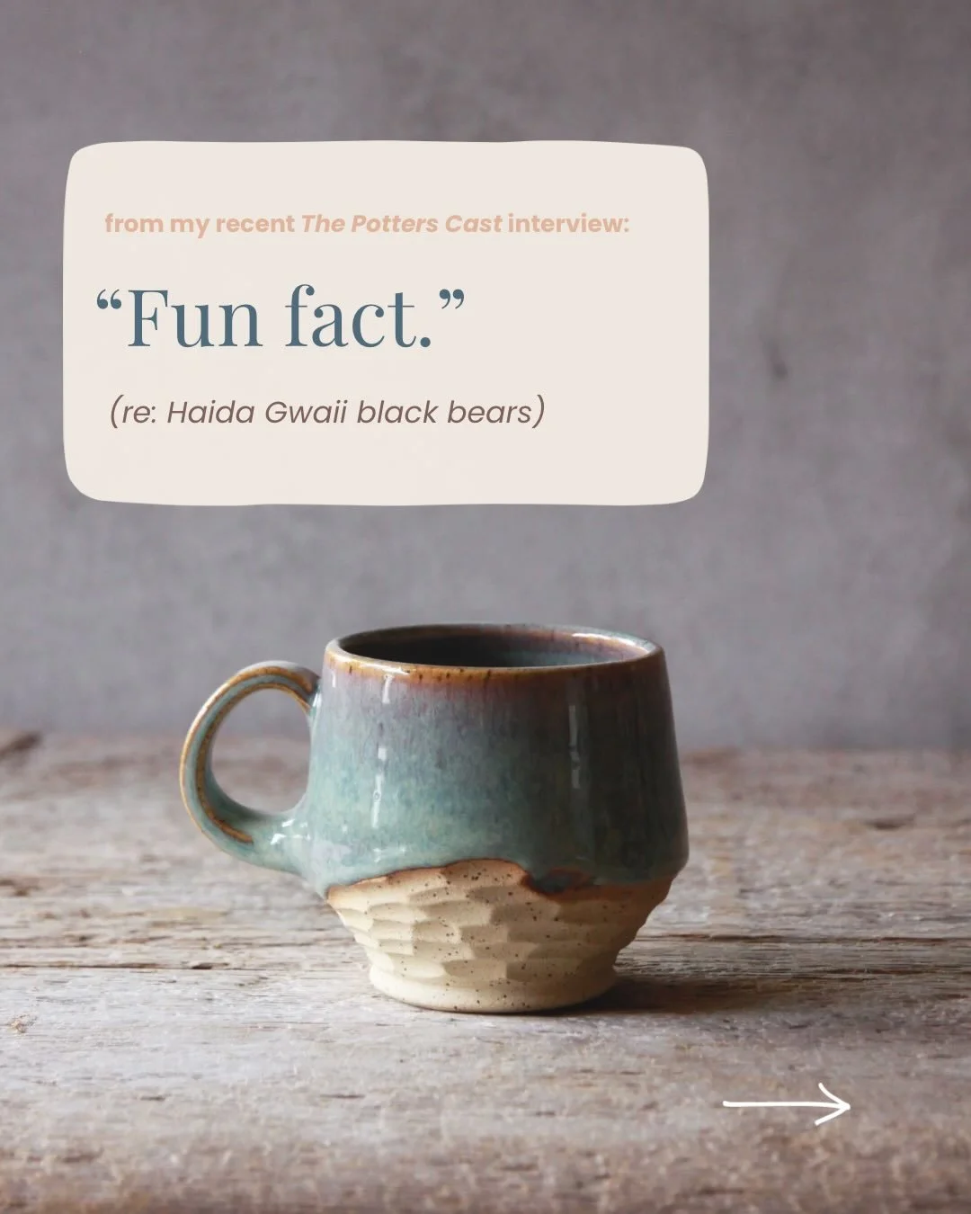 Why yes, we did also talk about the real stuff of being a maker.. things like:

🌊 how I&rsquo;ve built a sustainable pottery business across five income streams on a remote archipelago

🐌 why I deliberately took 8 years to go full time

🌸what I&rs