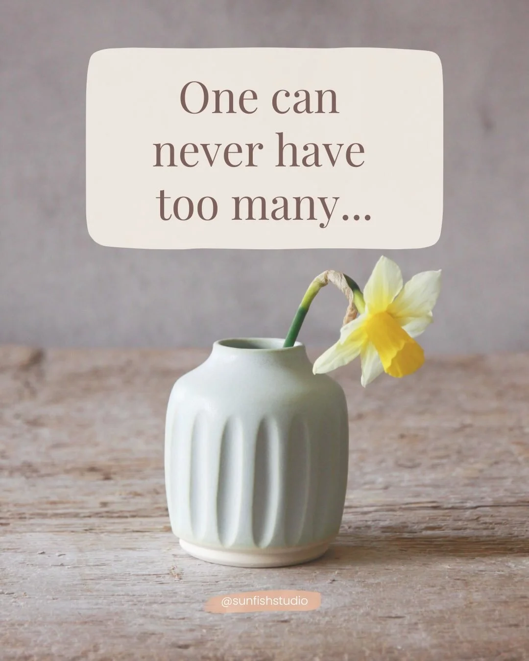 Which one are you? 💎📚☕🌿📔

And if you, like me, can&rsquo;t really choose but are definitely the sort of person who can never have too many handmade cups, my 2026 Cup Collective might be just the thing! 

It&rsquo;s a quarterly pottery subscriptio