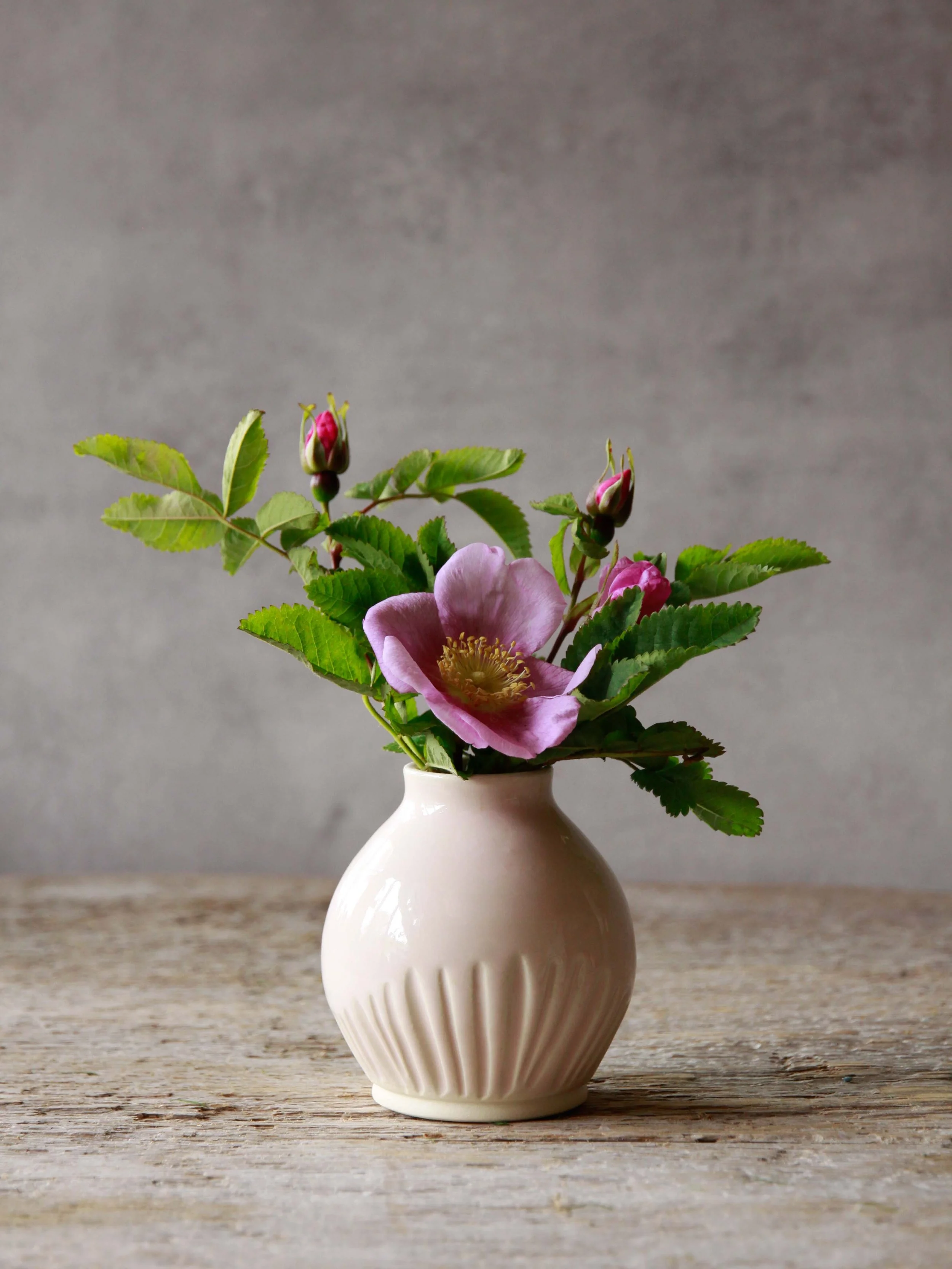 bud vase | small | nootka rose
