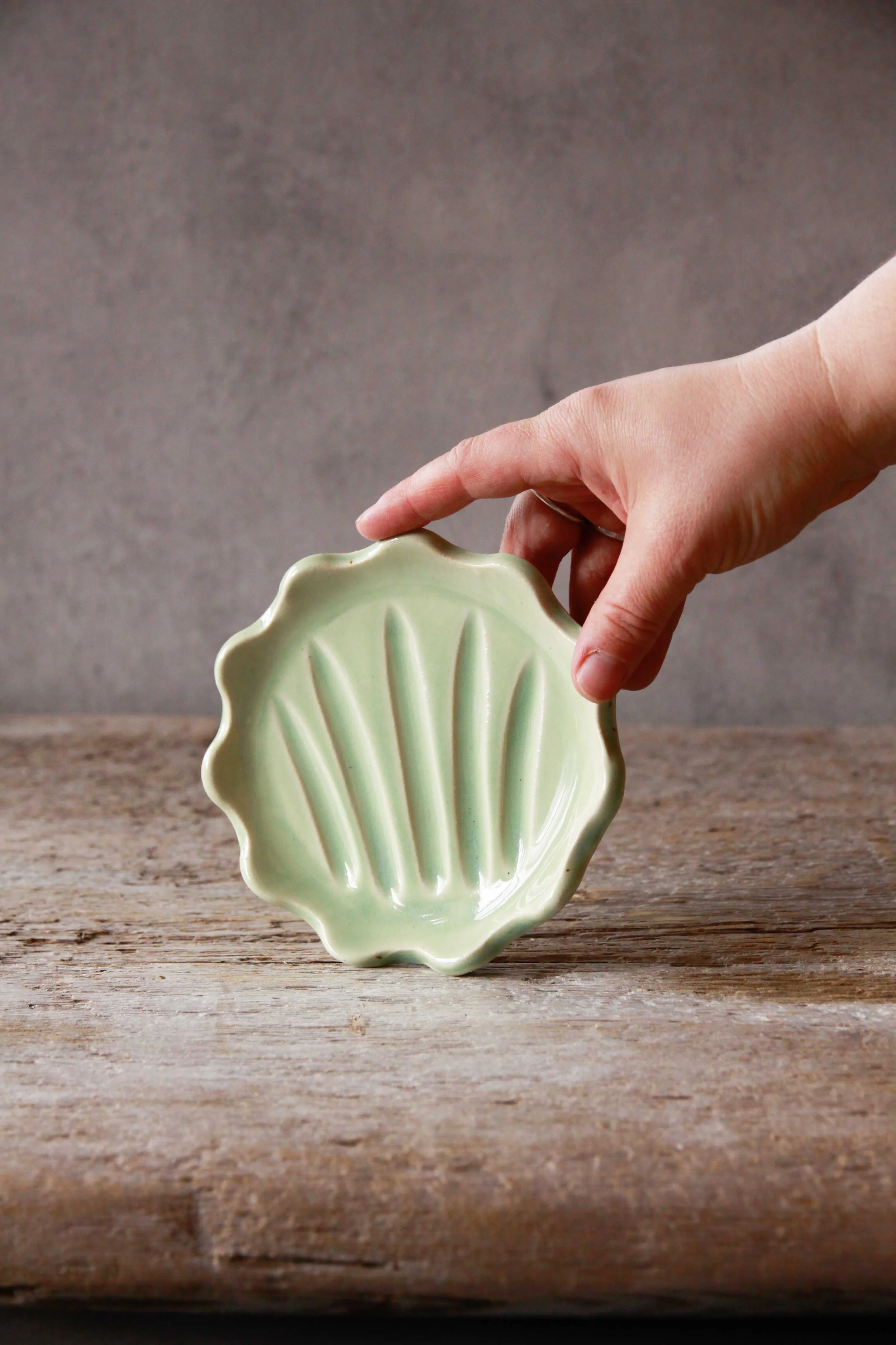 soap dish | fava bean