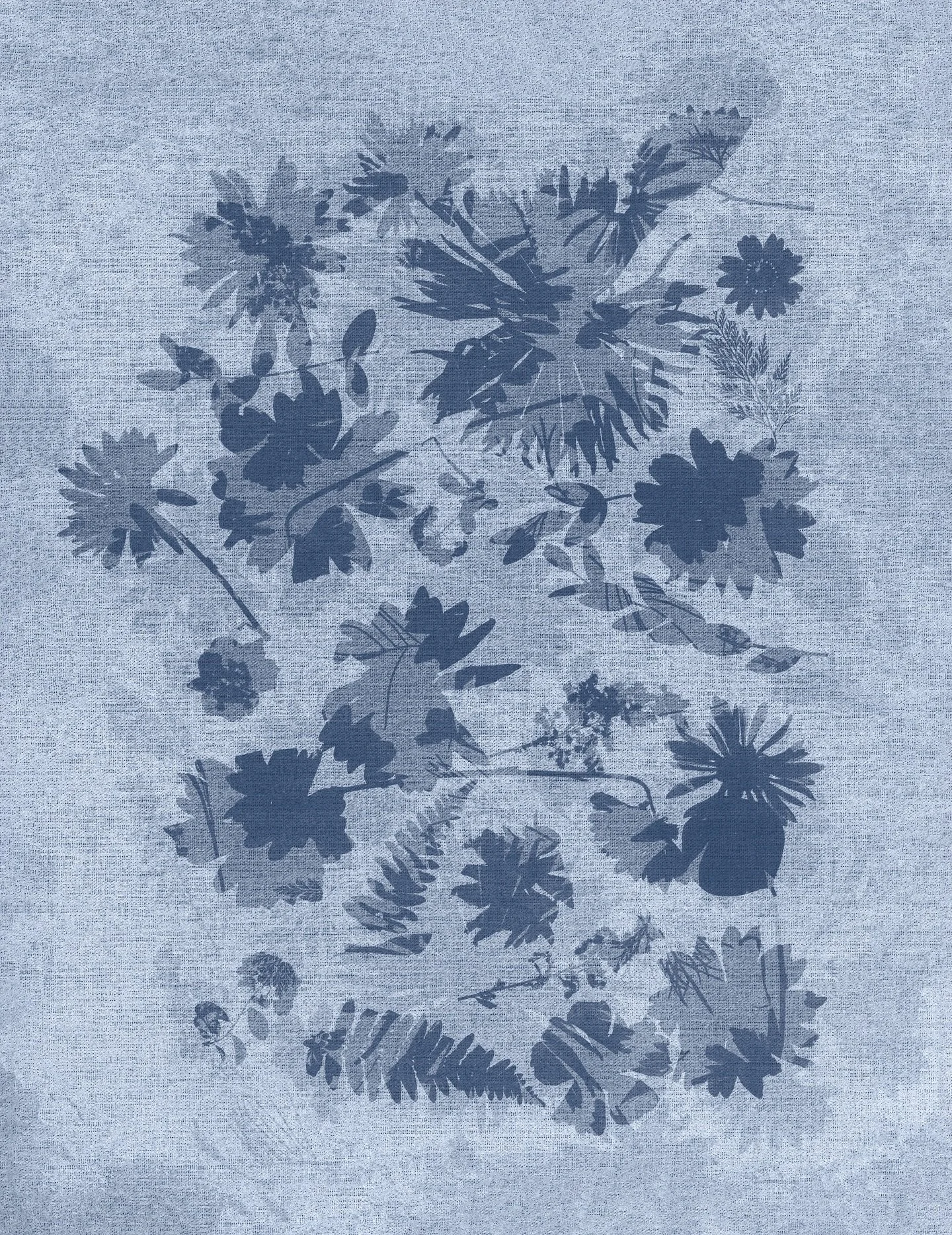 One of my favorite creative hobbies lately has been creating double exposed cyanotypes then playing around with color in Photoshop. Here are some of my favorites. 💙