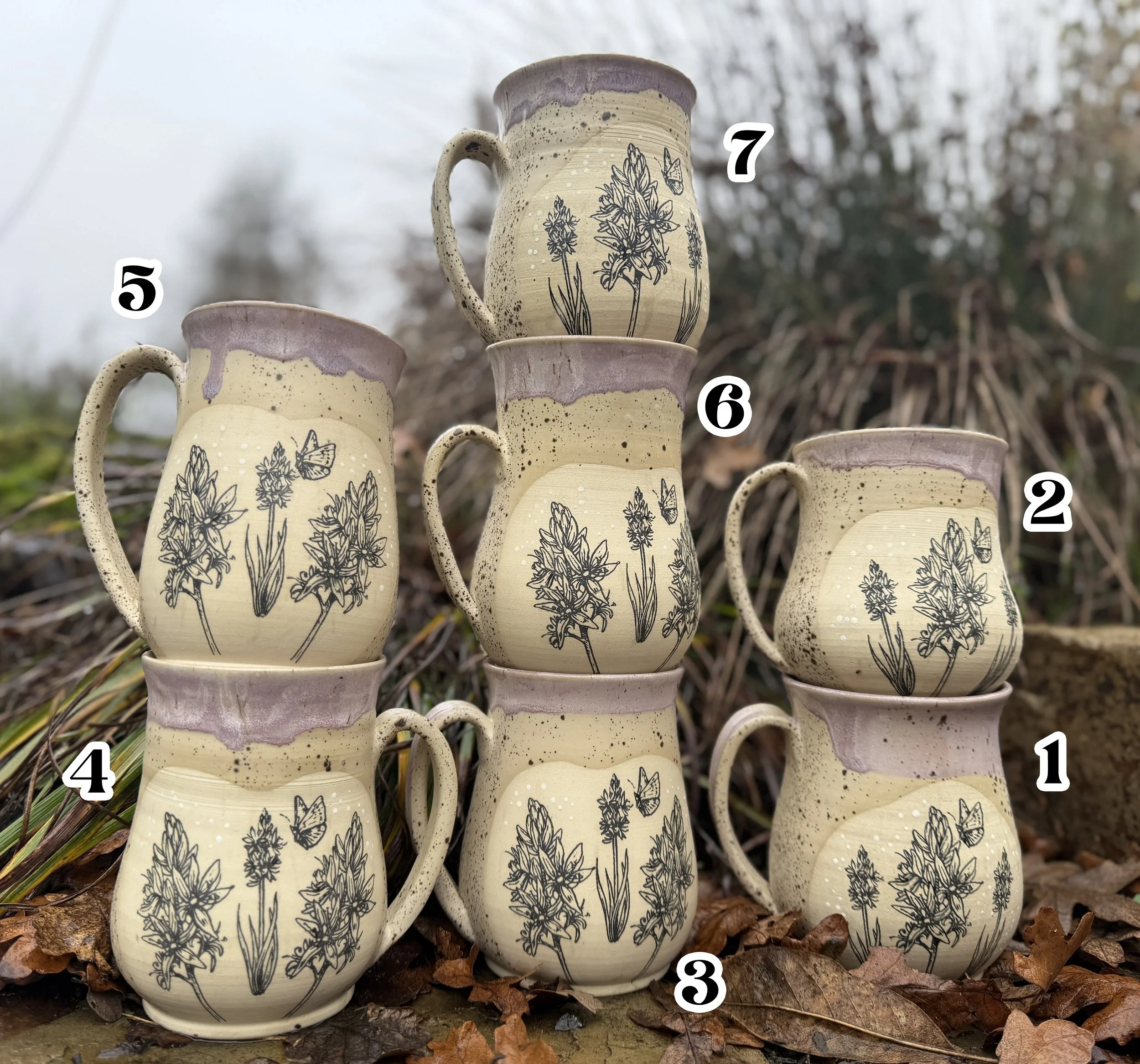 Camas Group LABELED.jpg