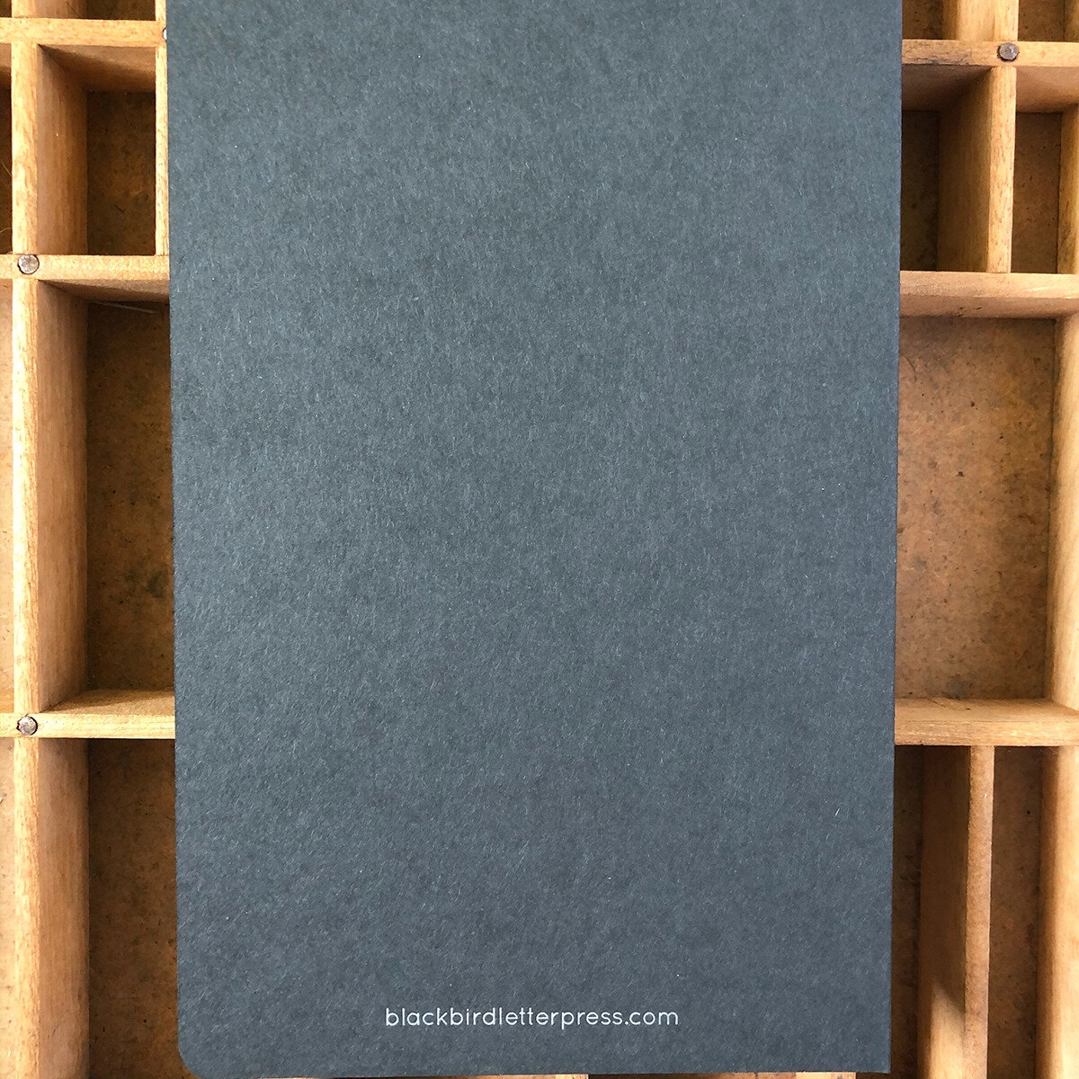 Moon notebook3.jpg