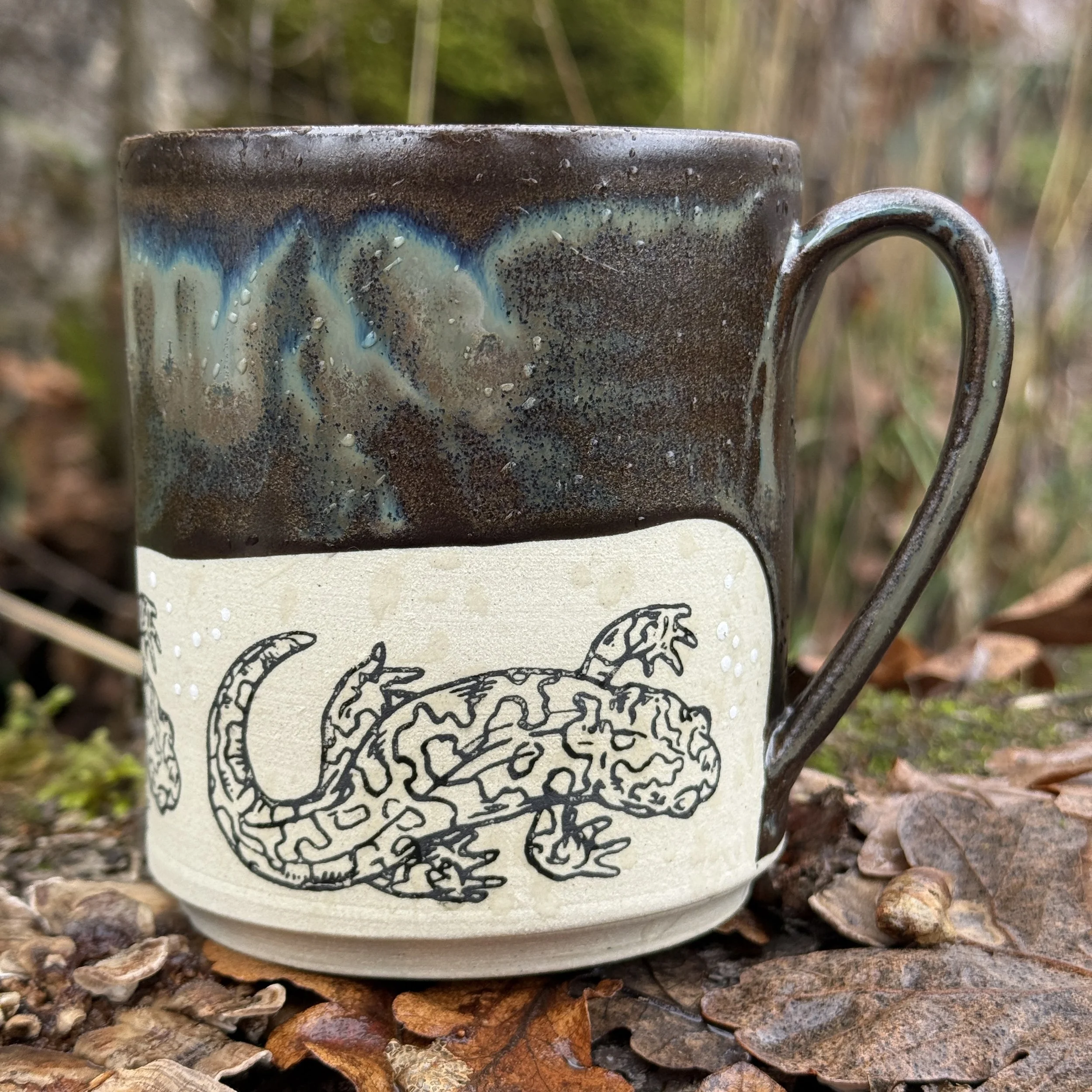 Salamander 6 Back.jpg