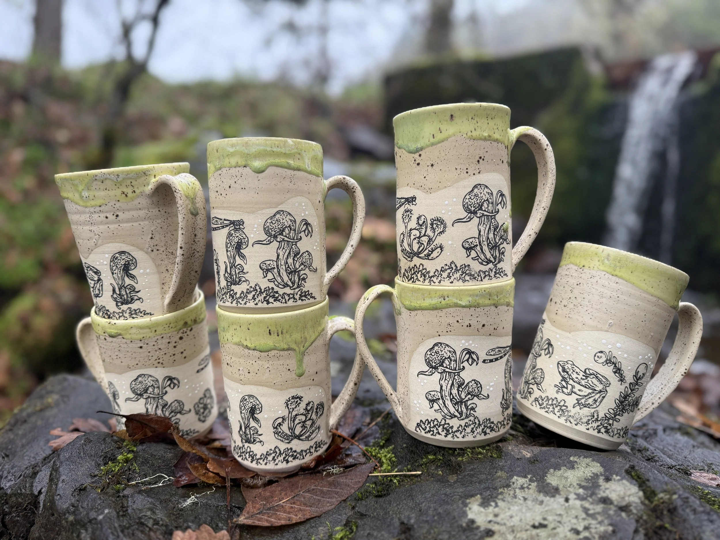 Bog Group 1.jpg