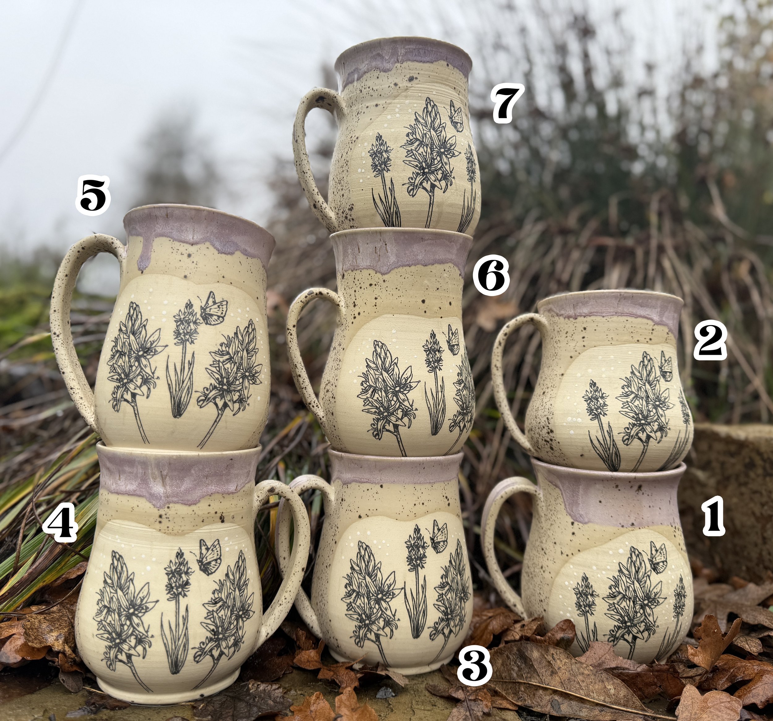 Camas Group LABELED.jpg