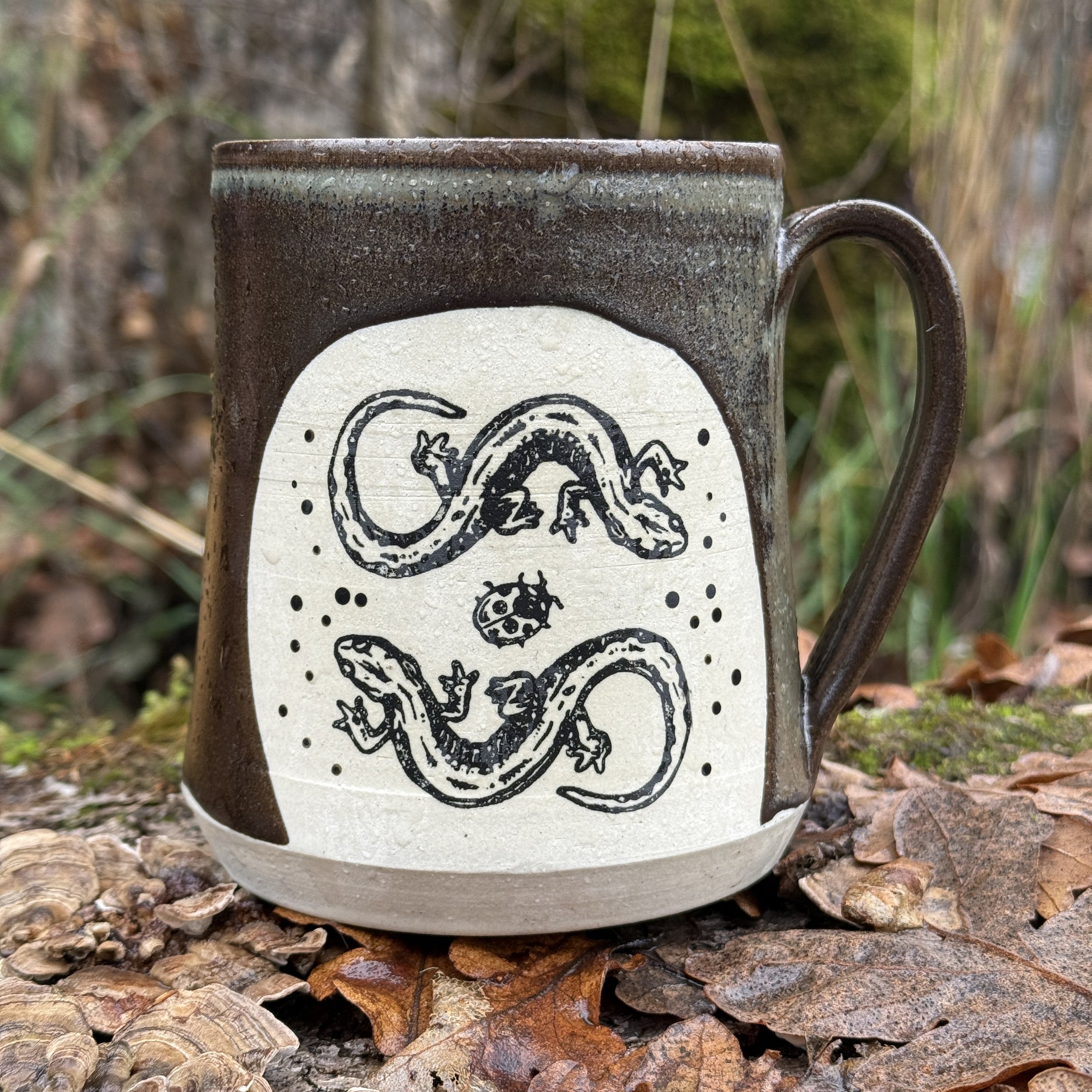 Salamander 1 Back.jpg