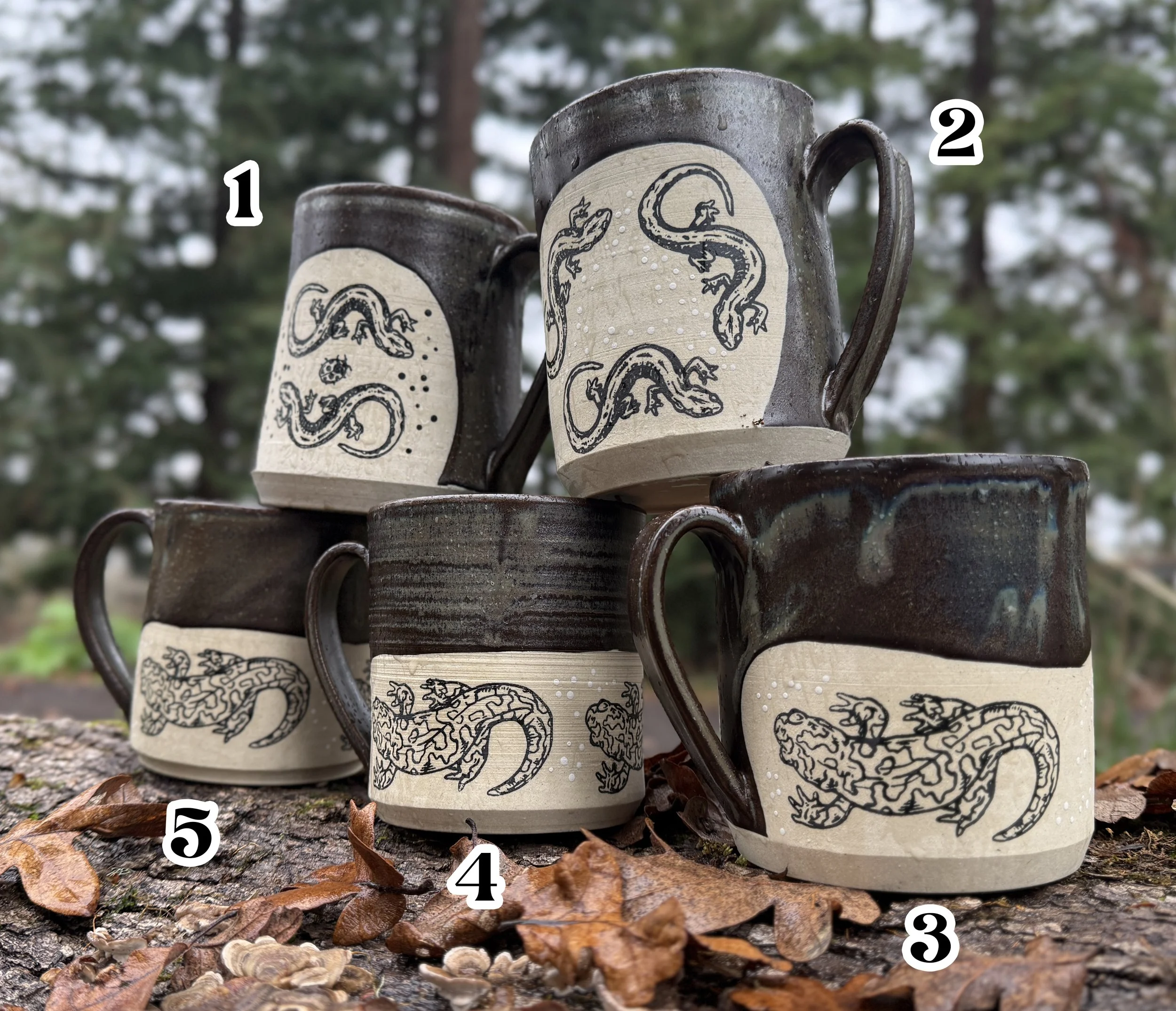 Salamander Group LABELED.jpg