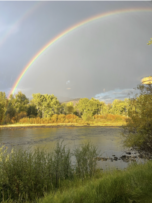 Screenshot 2026-01-30 at 7.07.53 PM.png