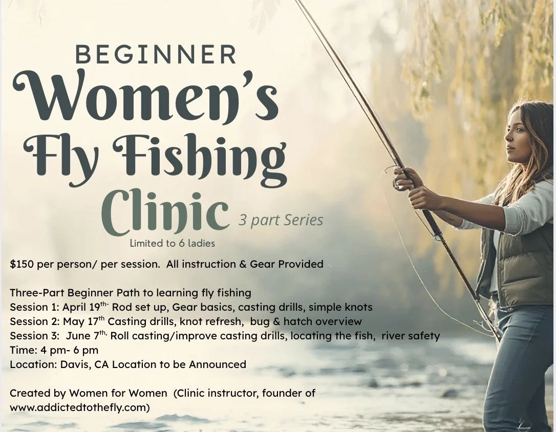 Image 3-16-26 at 4.09 PM.jpeg