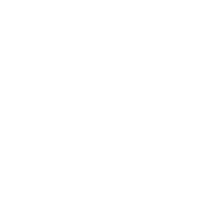YETI