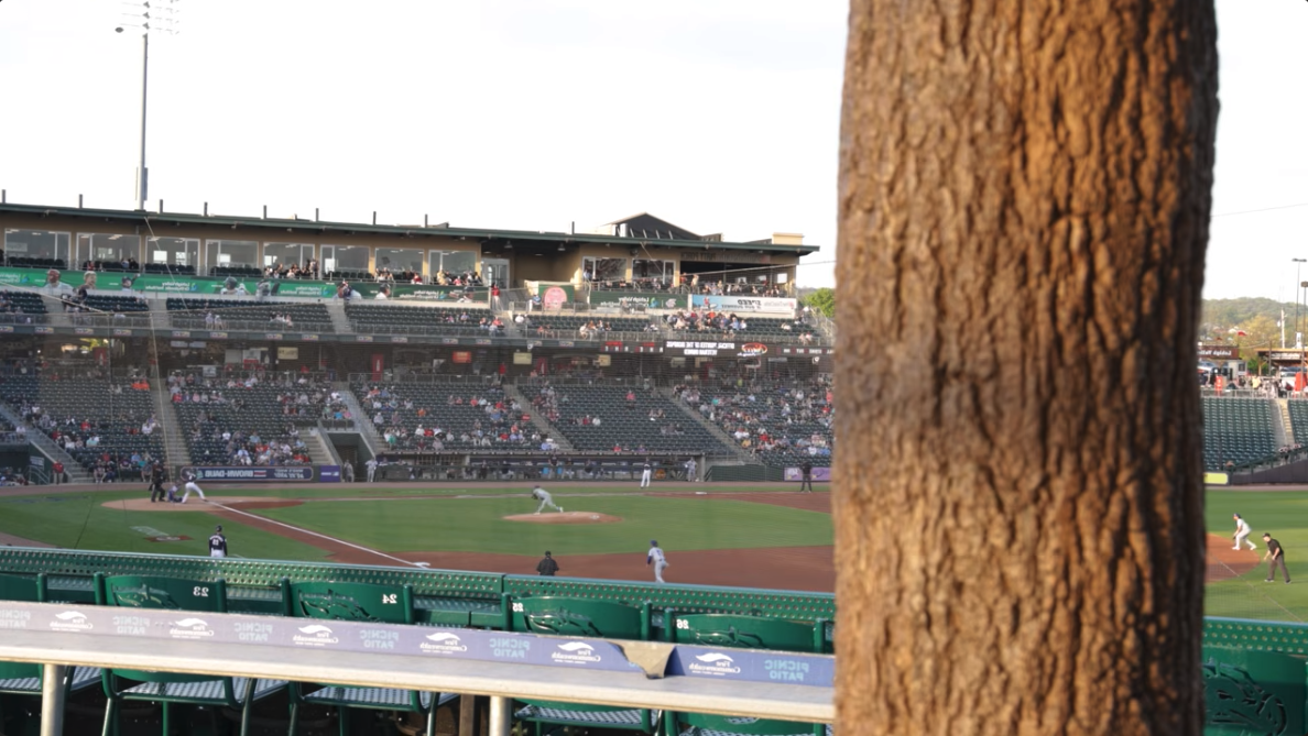 From Steel Columns to Storybook Trees: Transforming Coca-Cola Park