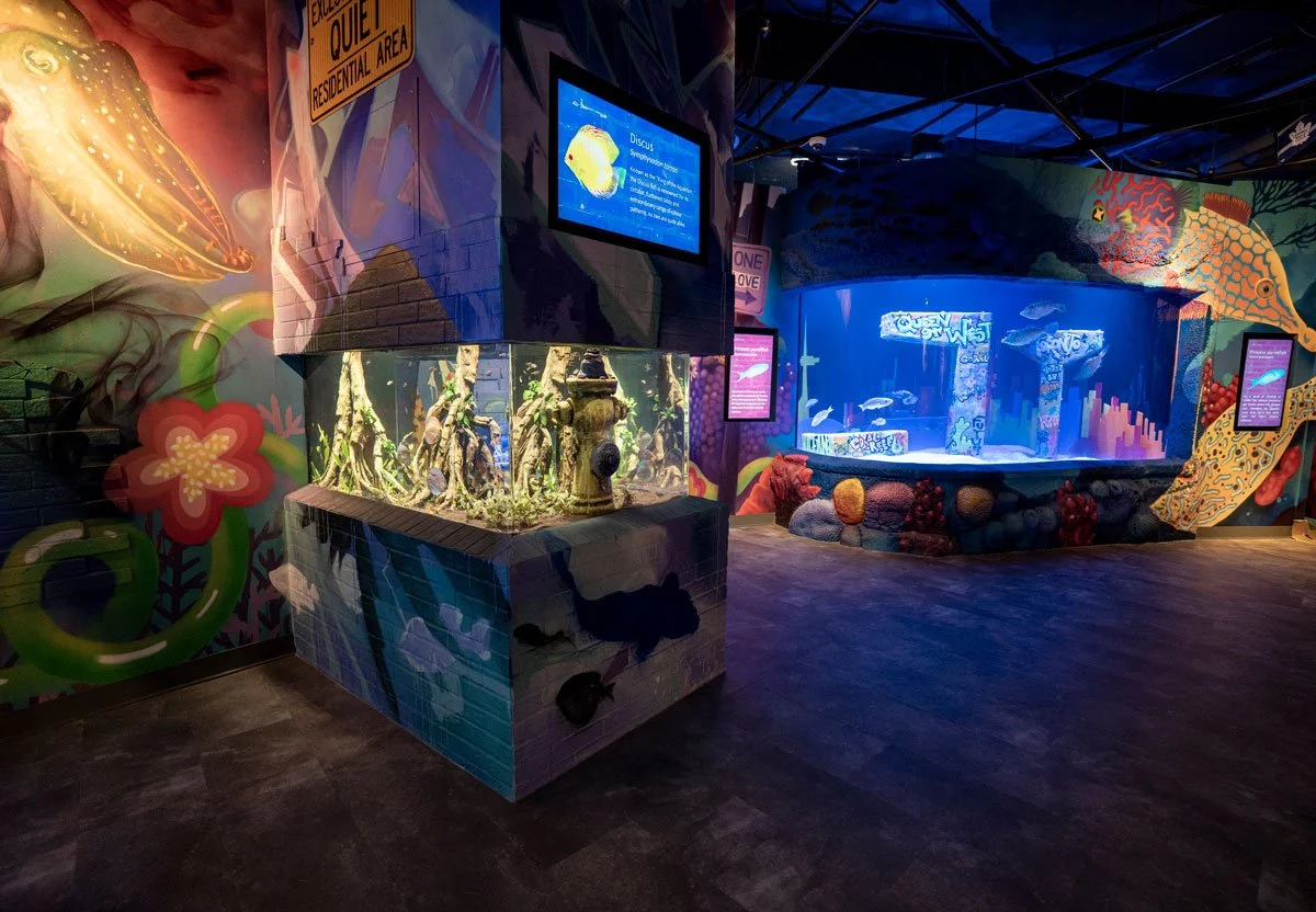 Graffiti Reef: Painted by Nature