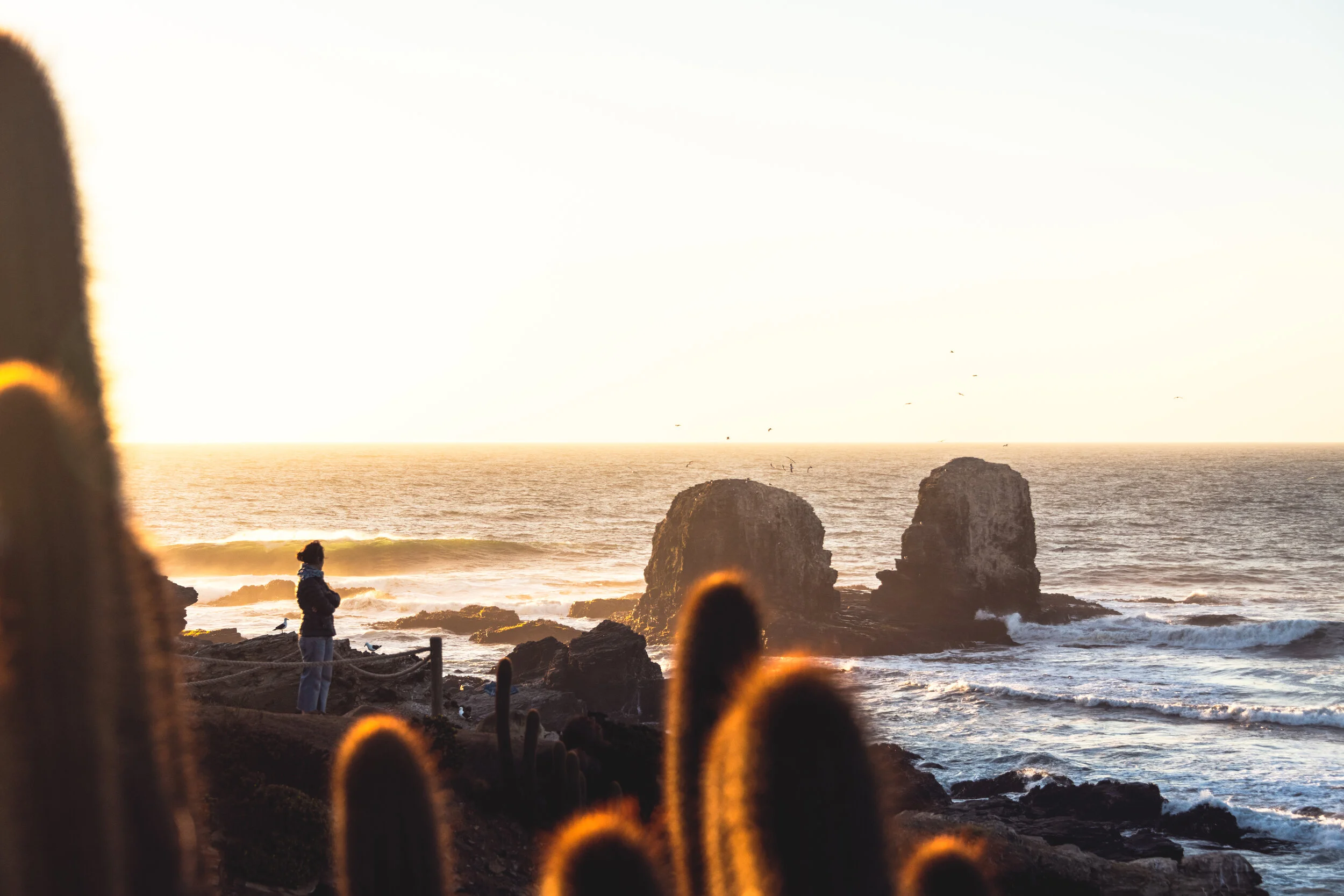 DSC_9281-Edit (2019_10_14 12_08_04 UTC).jpg