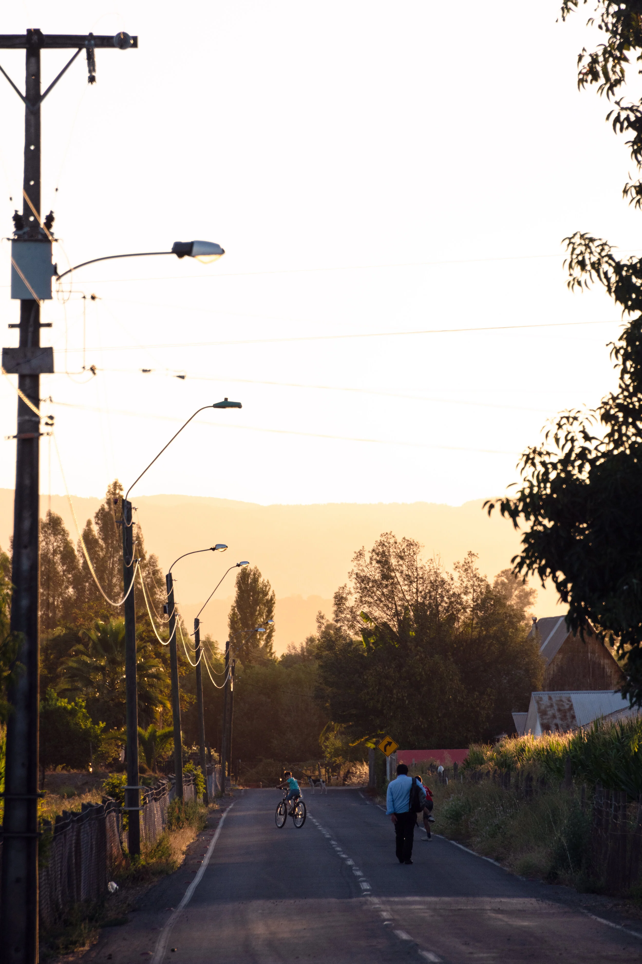 DSC_9867-Edit (2019_10_14 12_08_04 UTC).jpg