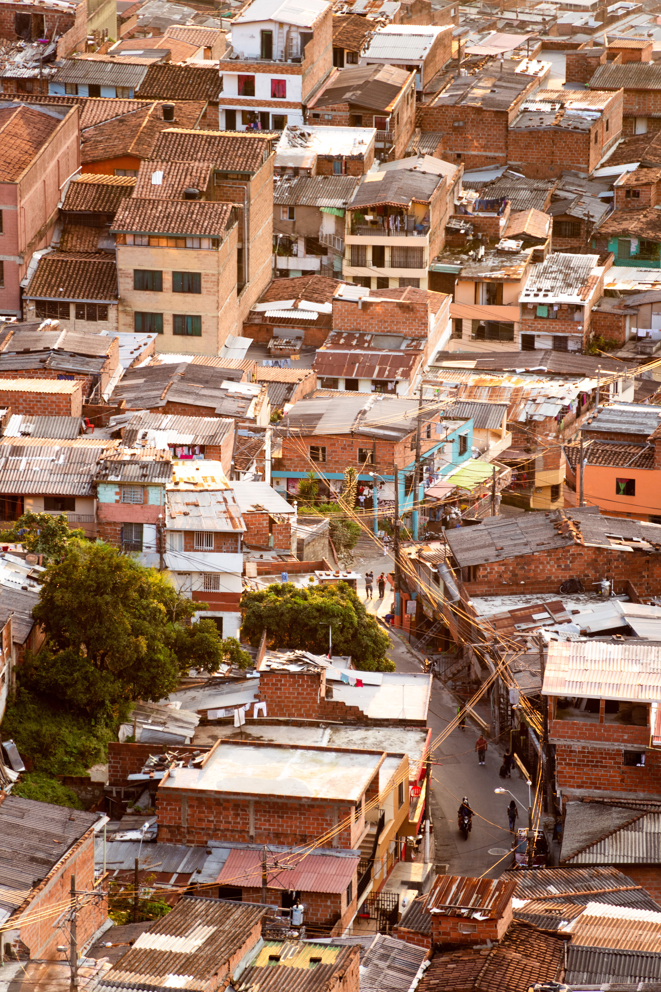 DSC_0812-Edit (2019_10_14 12_08_04 UTC).jpg