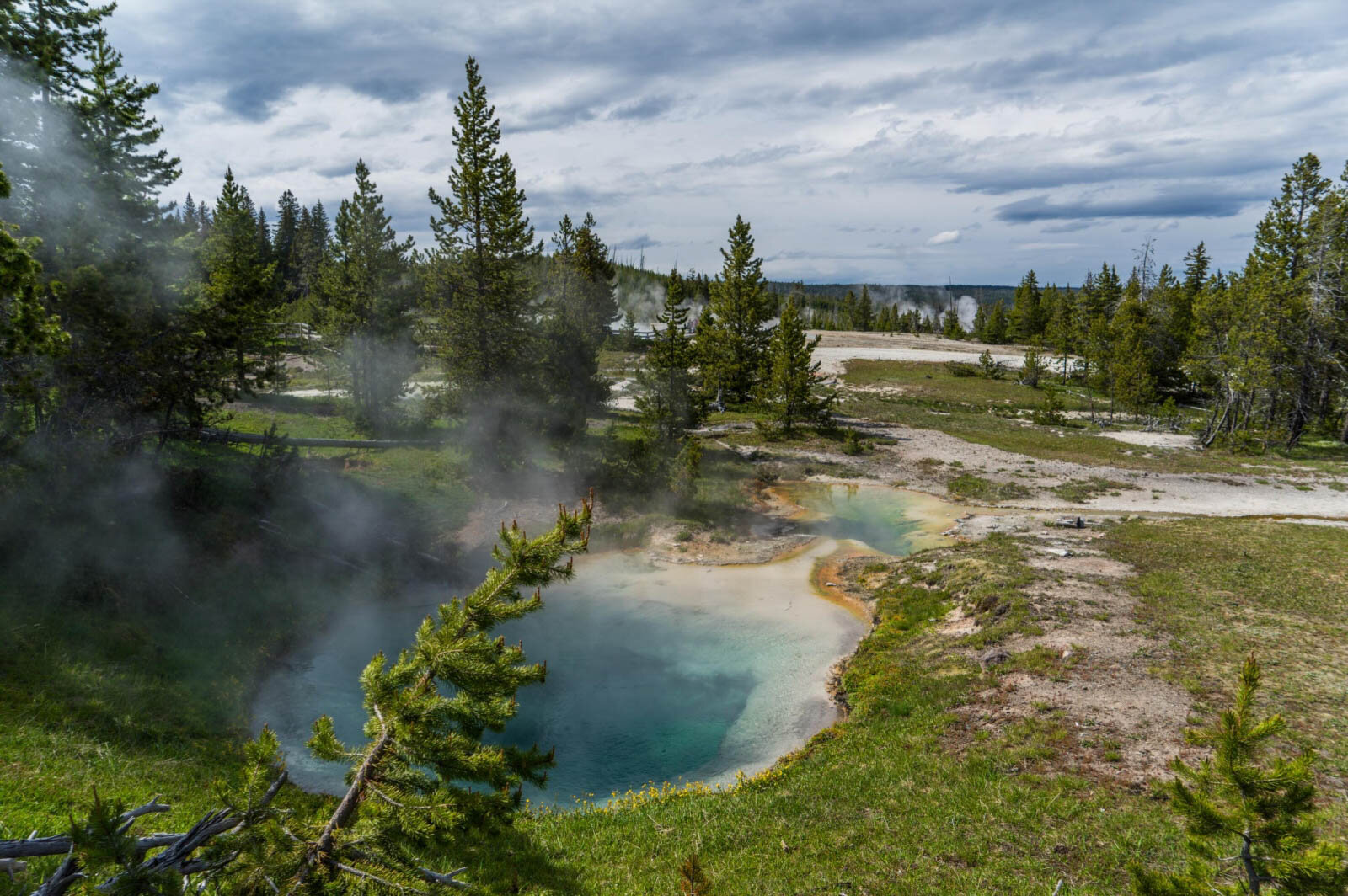 Grand Teton & Yellowstone National Park, Summer 2017