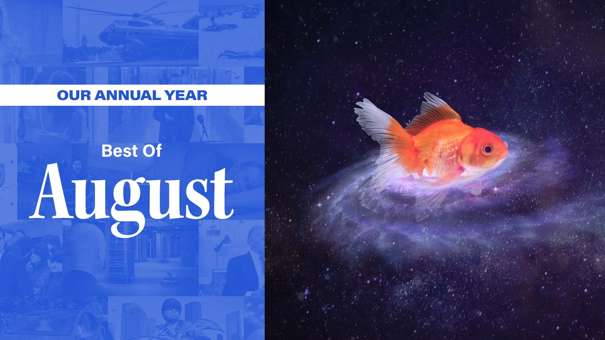 Best_Of_Year-8-August.jpg