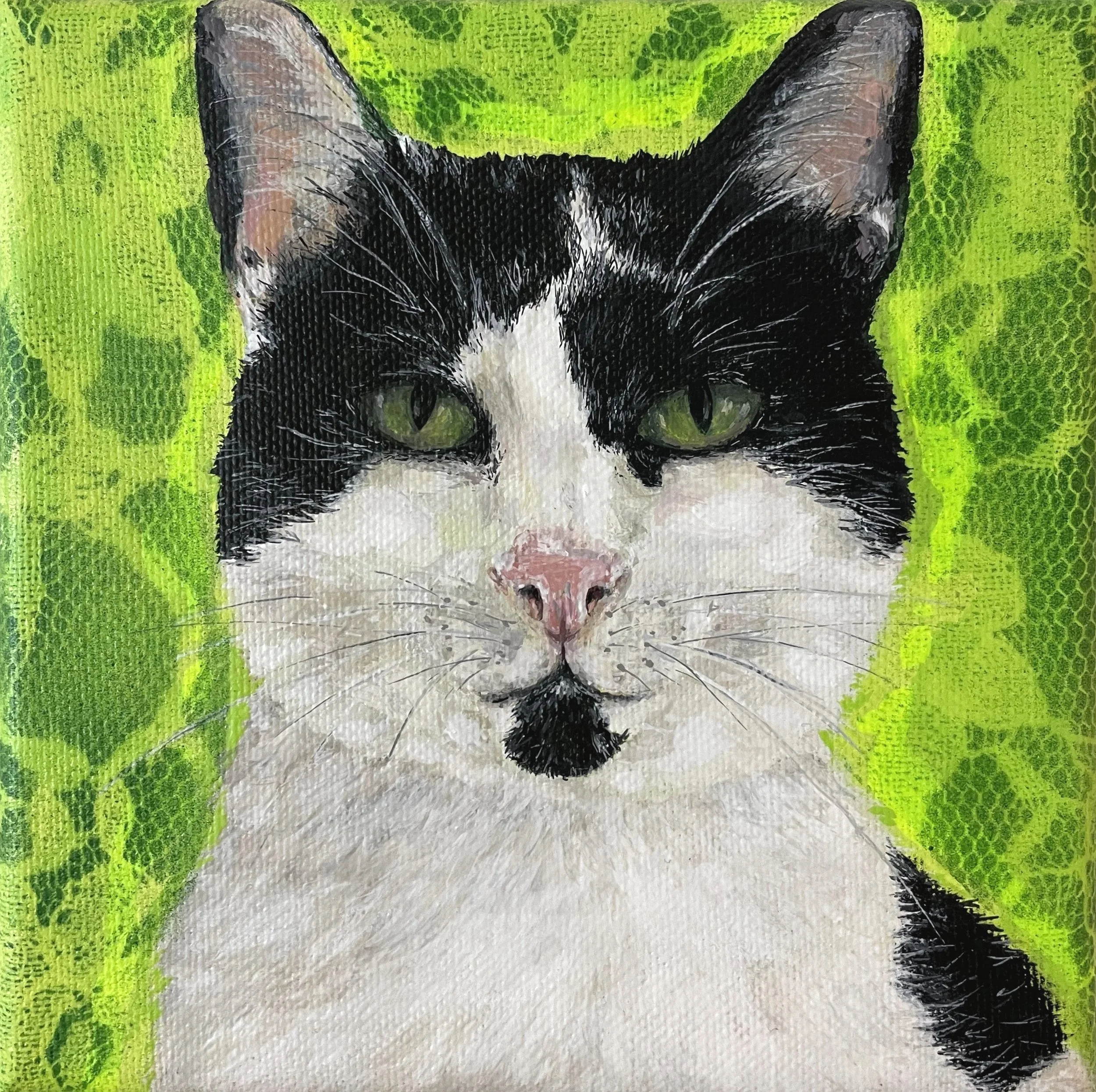 (Unavailable) "Charlie" 15x15 cm