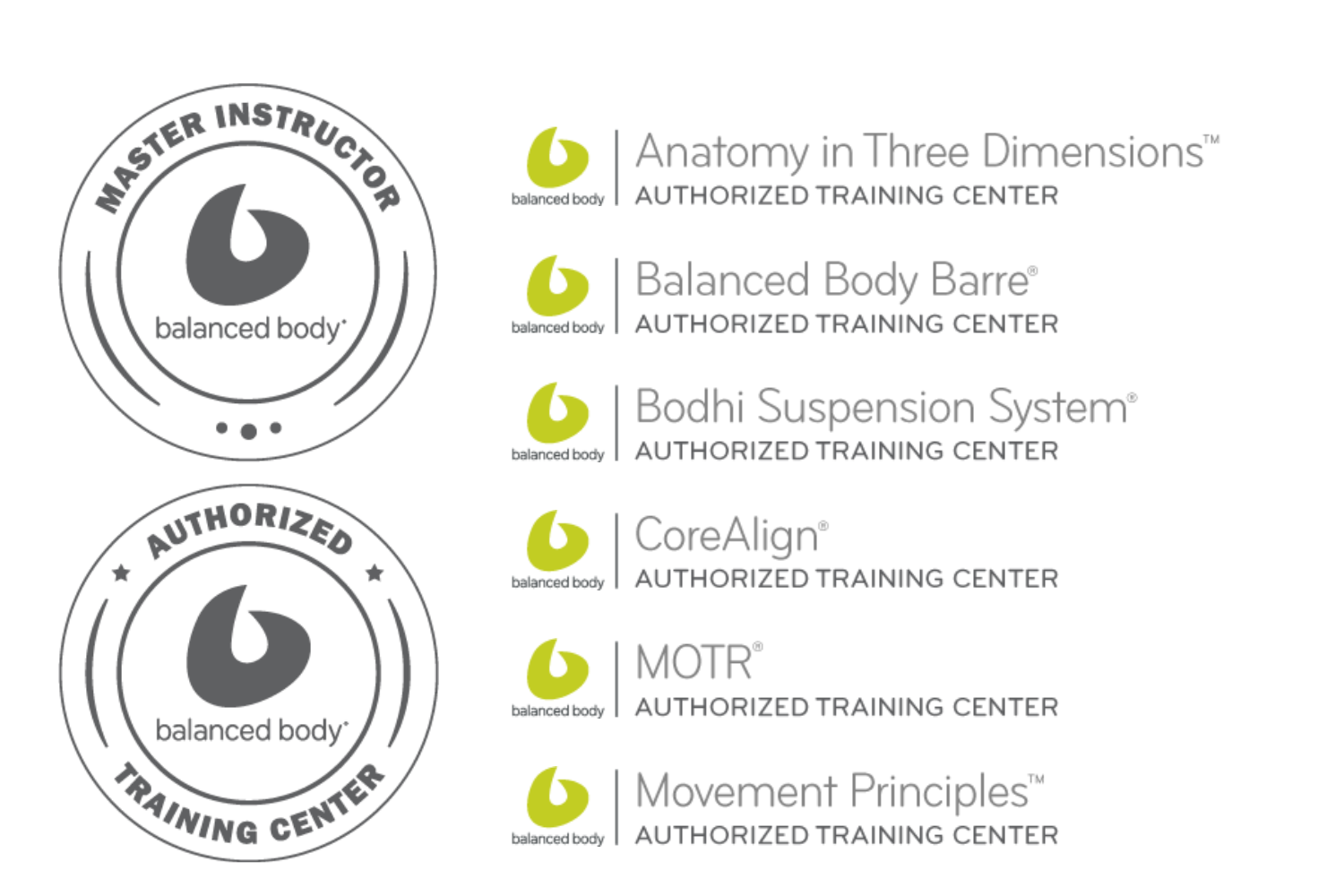 Close-up view of a Grey and Green CPU socket with multiple gold pin slots for a computer processor.