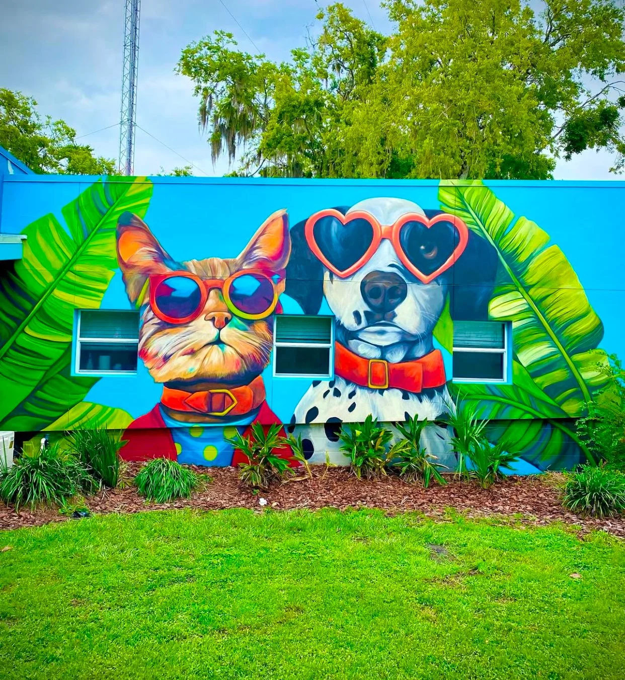 Newberry Animal Hospital
Urban Art Gainesville, Fl
Street Art Gainesville, Fl
Mural Art Gainesville, Fl
Mural Artist Gainesville, Fl
Hand Painted Signs Gainesville, Fl
Fine Art Gainesville, Fl
Hand Painted, Signs Mural, Street Art, Fine Art, Mural Ar