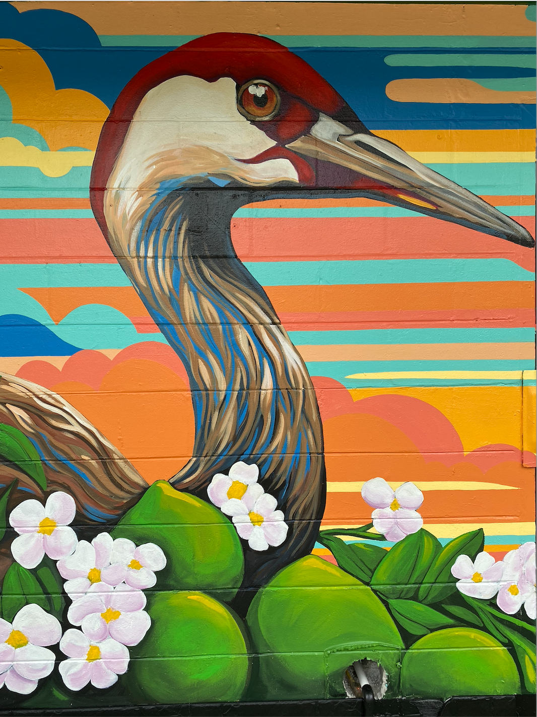 Sublime Tacos
Urban Art Gainesville, Fl
Street Art Gainesville, Fl
Mural Art Gainesville, Fl
Mural Artist Gainesville, Fl
Hand Painted Signs Gainesville, Fl
Fine Art Gainesville, Fl
Hand Painted, Signs Mural, Street Art, Fine Art, Mural Artist, Visio