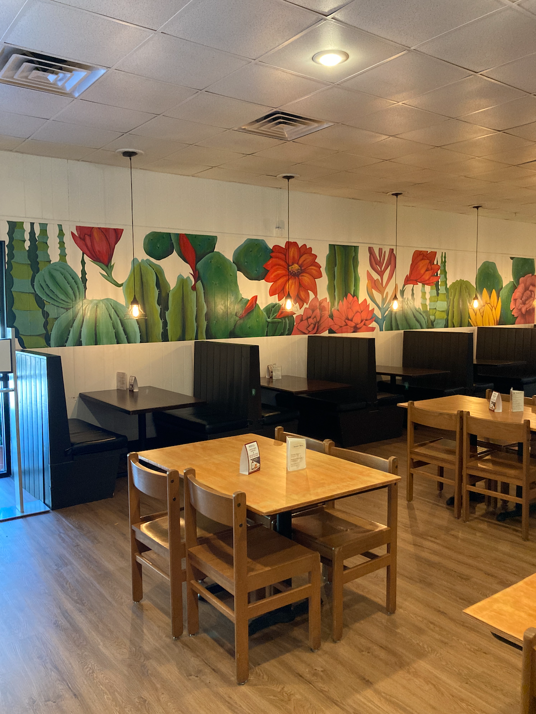 Nopal
Mac Danton's Irish Sports Bar
Urban Art Gainesville, Fl
Street Art Gainesville, Fl
Mural Art Gainesville, Fl
Mural Artist Gainesville, Fl
Hand Painted Signs Gainesville, Fl
Fine Art Gainesville, Fl
Hand Painted, Signs Mural, Street Art, Fine Ar