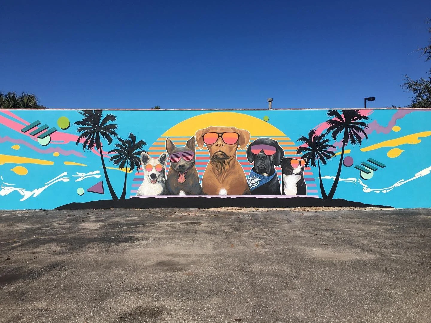 Lebowskis Pup Pub Mural / Visionary FAM
Urban Art Gainesville, Fl
Street Art Gainesville, Fl
Mural Art Gainesville, Fl
Mural Artist Gainesville, Fl
Hand Painted Signs Gainesville, Fl
Fine Art Gainesville, Fl
Hand Painted Signs, Mural, Street Art, Fin