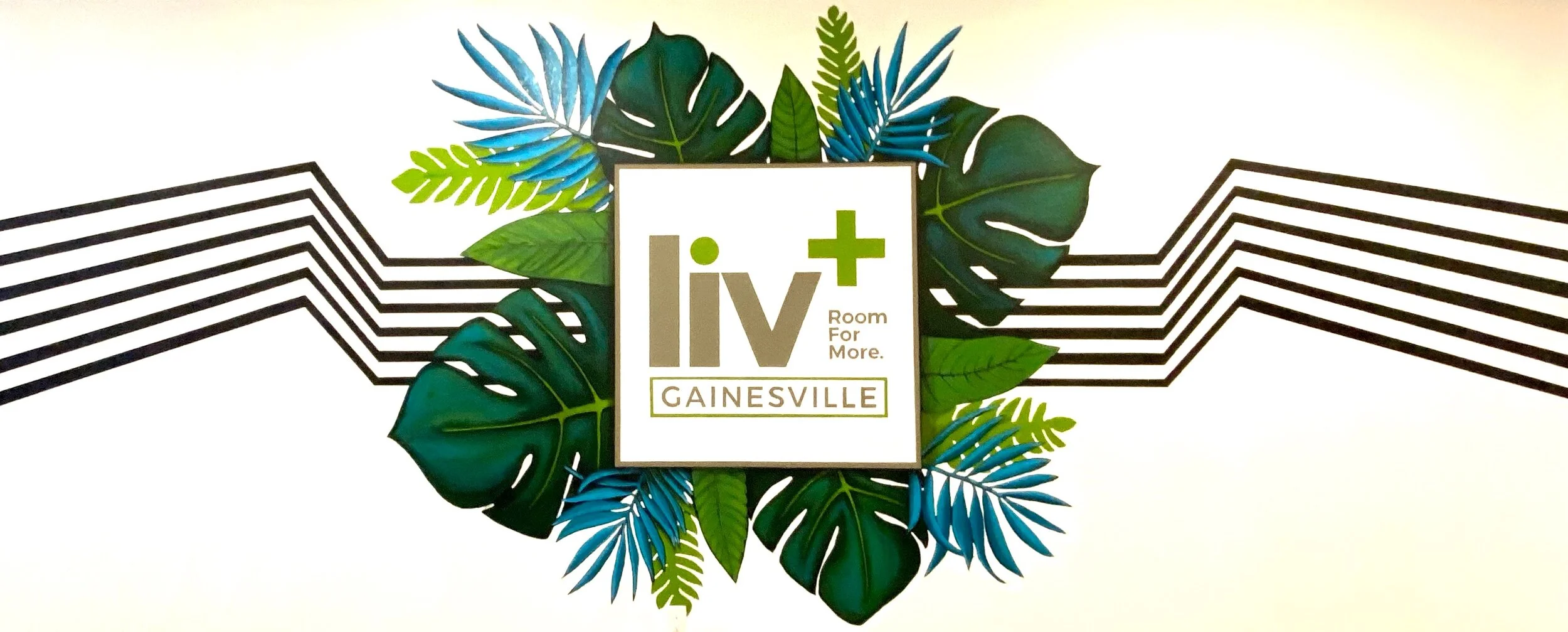 Liv+ Gainesville / The cave mural
Urban Art Gainesville, Fl
Street Art Gainesville, Fl
Mural Art Gainesville, Fl
Mural Artist Gainesville, Fl
Hand Painted Signs Gainesville, Fl
Fine Art Gainesville, Fl
Hand Painted, Signs Mural, Street Art, Fine Art,