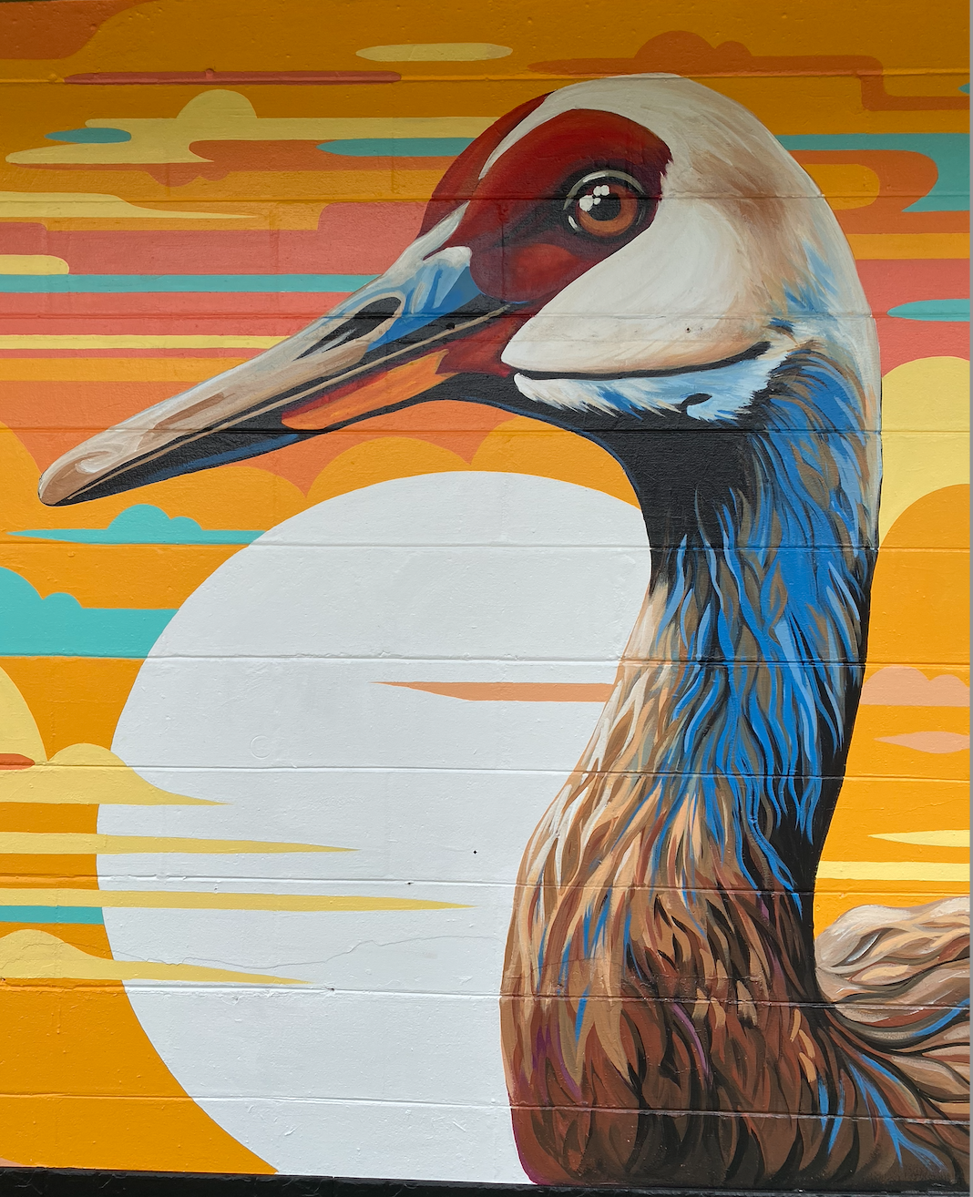 Sublime Tacos
Urban Art Gainesville, Fl
Street Art Gainesville, Fl
Mural Art Gainesville, Fl
Mural Artist Gainesville, Fl
Hand Painted Signs Gainesville, Fl
Fine Art Gainesville, Fl
Hand Painted, Signs Mural, Street Art, Fine Art, Mural Artist, Visio