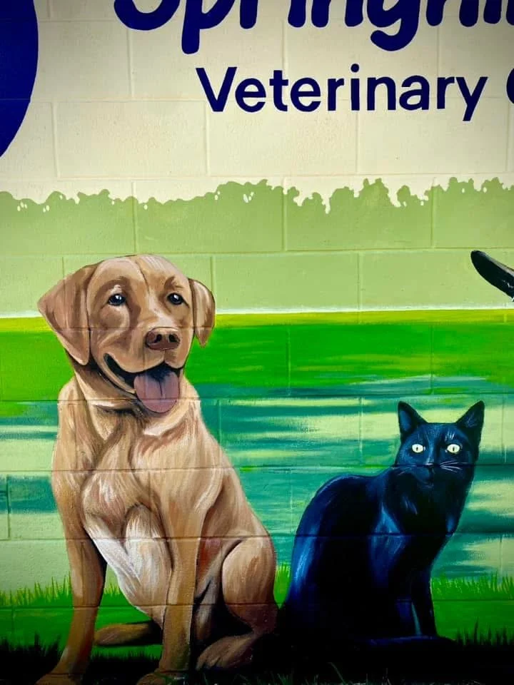 Springhill Equine
Urban Art Gainesville, Fl
Street Art Gainesville, Fl
Mural Art Gainesville, Fl
Mural Artist Gainesville, Fl
Hand Painted Signs Gainesville, Fl
Fine Art Gainesville, Fl
Hand Painted, Signs Mural, Street Art, Fine Art, Mural Artist, V