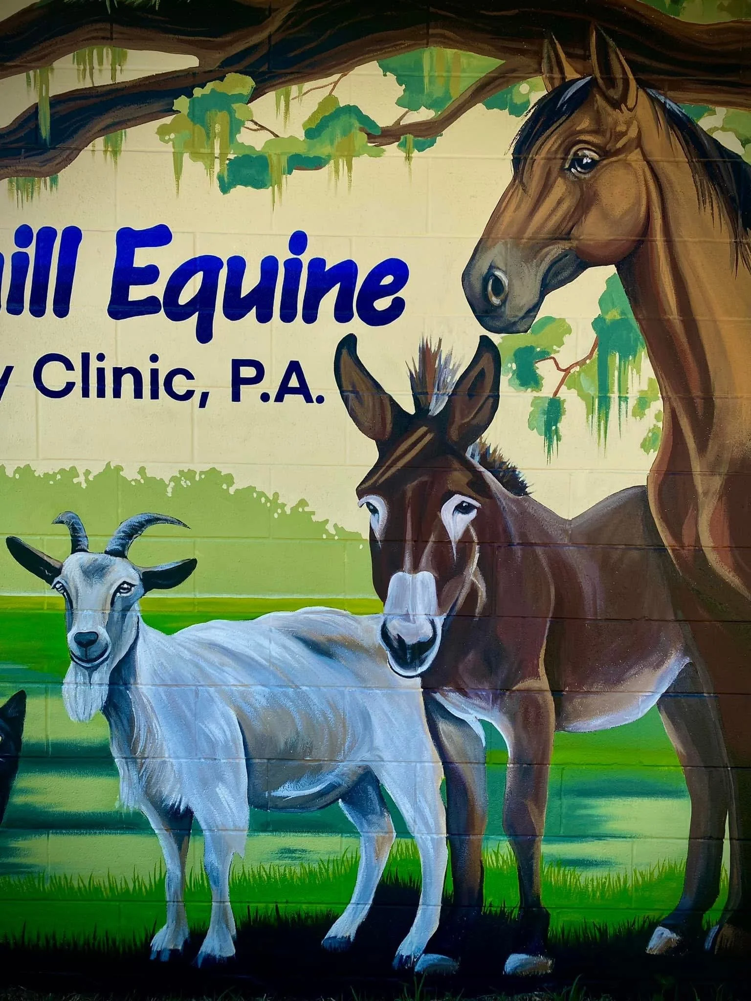 Springhill Equine
Urban Art Gainesville, Fl
Street Art Gainesville, Fl
Mural Art Gainesville, Fl
Mural Artist Gainesville, Fl
Hand Painted Signs Gainesville, Fl
Fine Art Gainesville, Fl
Hand Painted, Signs Mural, Street Art, Fine Art, Mural Artist, V