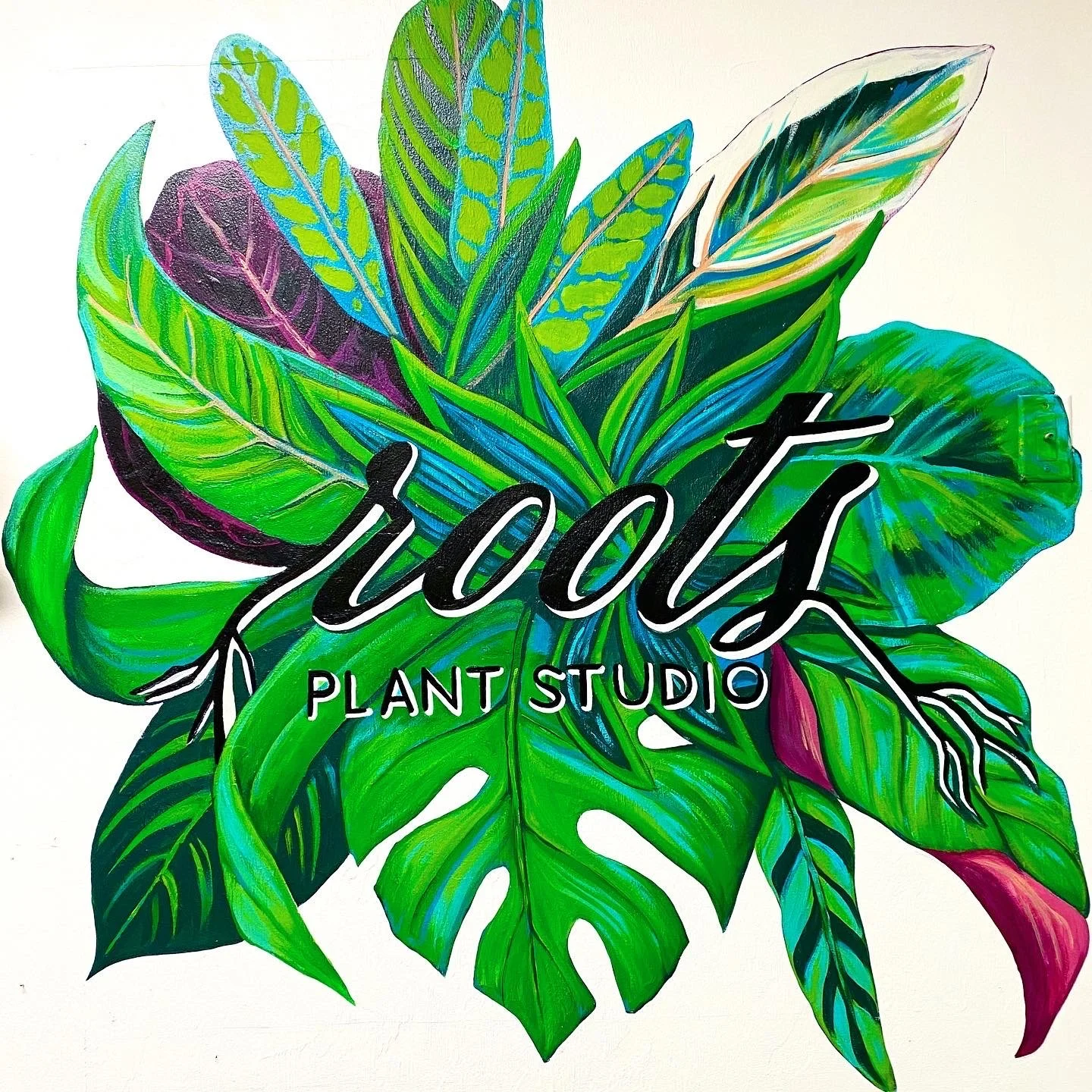 Roots Plant Studio / Visionary FAM
Urban Art Gainesville, Fl
Street Art Gainesville, Fl
Mural Art Gainesville, Fl
Mural Artist Gainesville, Fl
Hand Painted Signs Gainesville, Fl
Fine Art Gainesville, Fl
Hand Painted Signs, Mural, Street Art, Fine Art