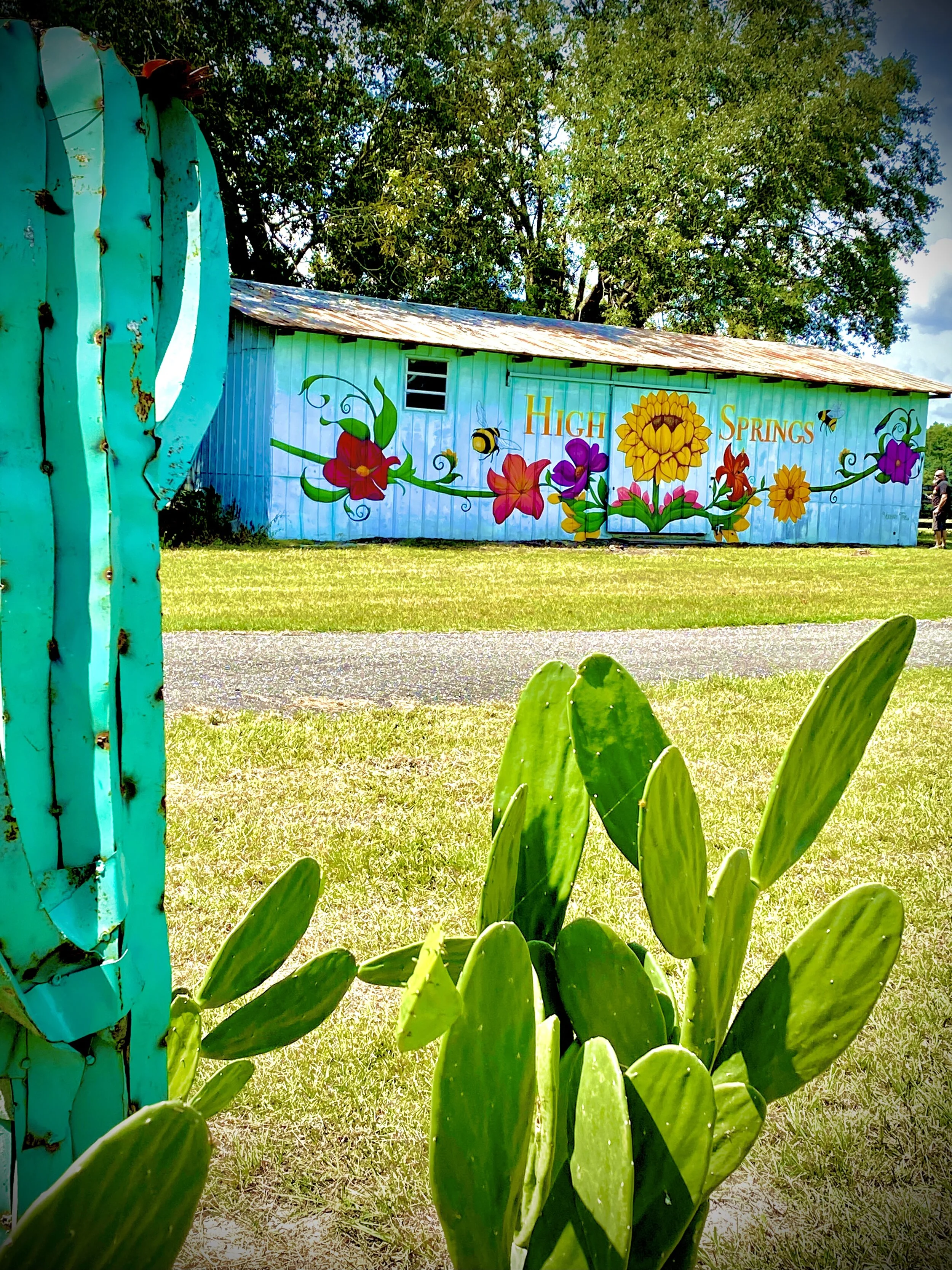Urban Art Gainesville, Fl
Street Art Gainesville, Fl
Mural Art Gainesville, Fl
Mural Artist Gainesville, Fl
Hand Painted Signs Gainesville, Fl
Fine Art Gainesville, Fl
Hand Painted Signs, Mural, Street Art, Fine Art, Mural Artist, Visionary, Visionar