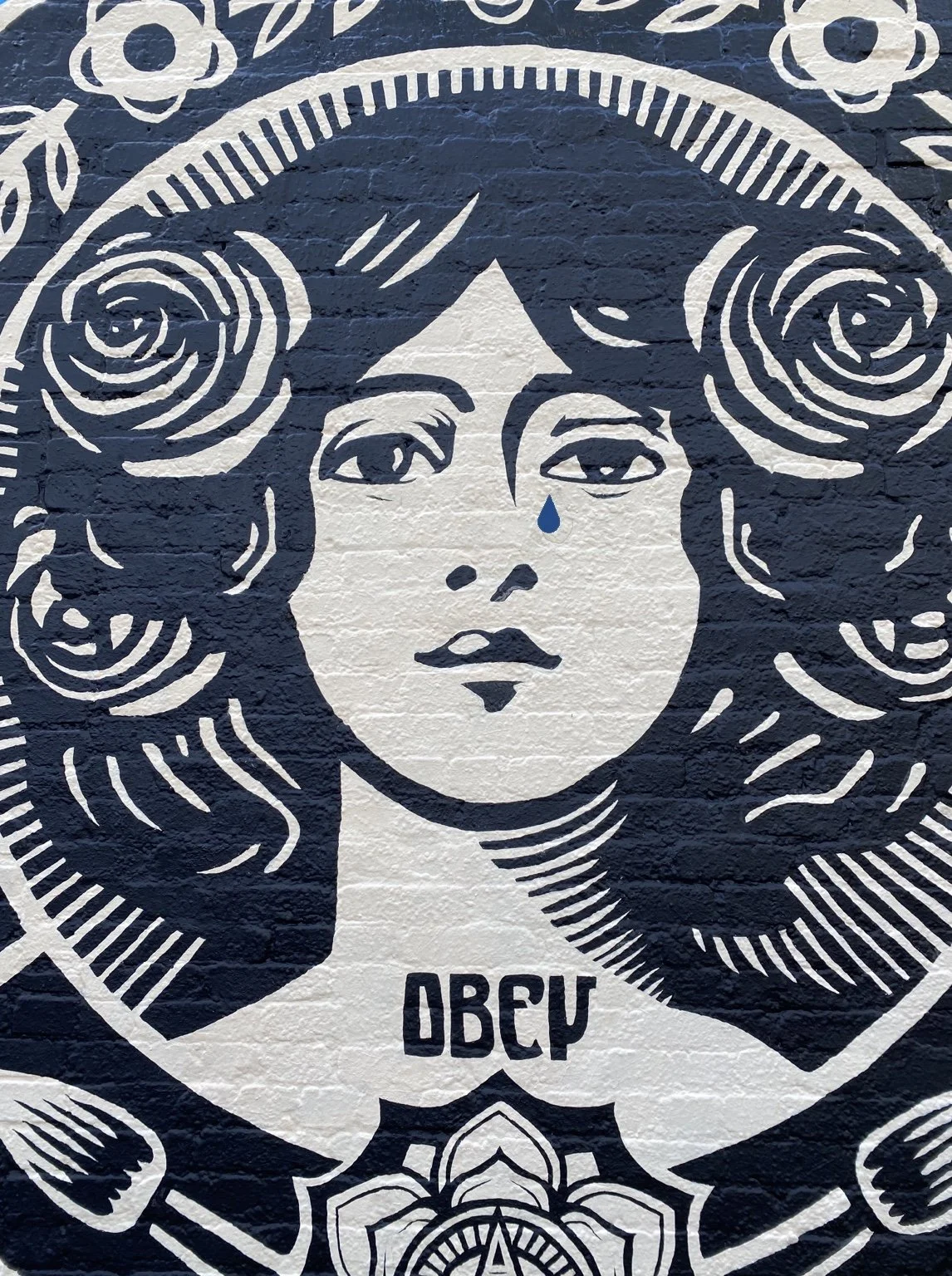 Urban Art Gainesville, Fl
Street Art Gainesville, Fl
Mural Art Gainesville, Fl
Mural Artist Gainesville, Fl
Hand Painted Signs Gainesville, Fl
Fine Art Gainesville, Fl
Hand Painted, Signs Mural, Street Art, Fine Art, Mural Artist, Visionary, Visionar