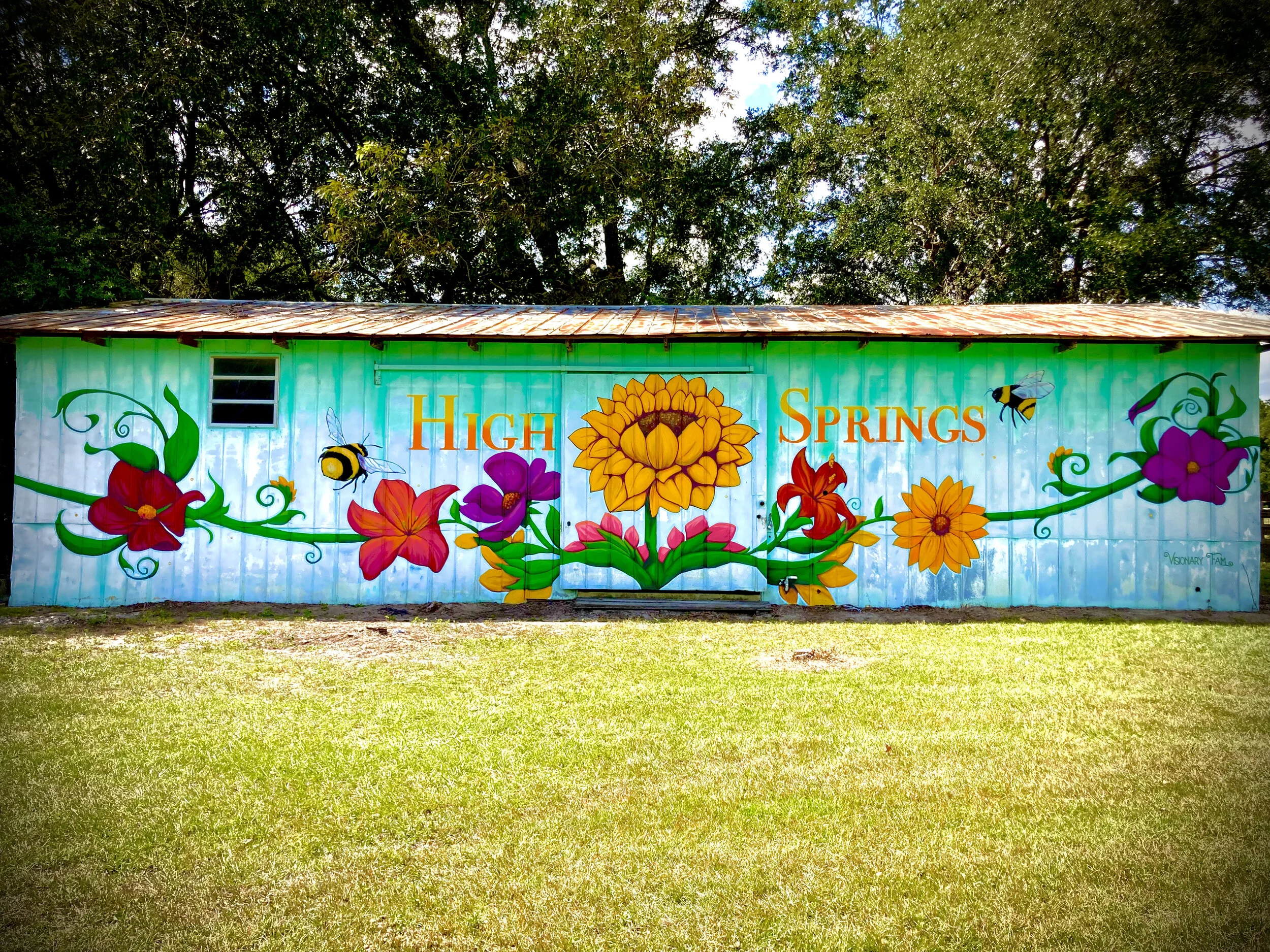 Urban Art Gainesville, Fl
Street Art Gainesville, Fl
Mural Art Gainesville, Fl
Mural Artist Gainesville, Fl
Hand Painted Signs Gainesville, Fl
Fine Art Gainesville, Fl
Hand Painted Signs, Mural, Street Art, Fine Art, Mural Artist, Visionary, Visionar