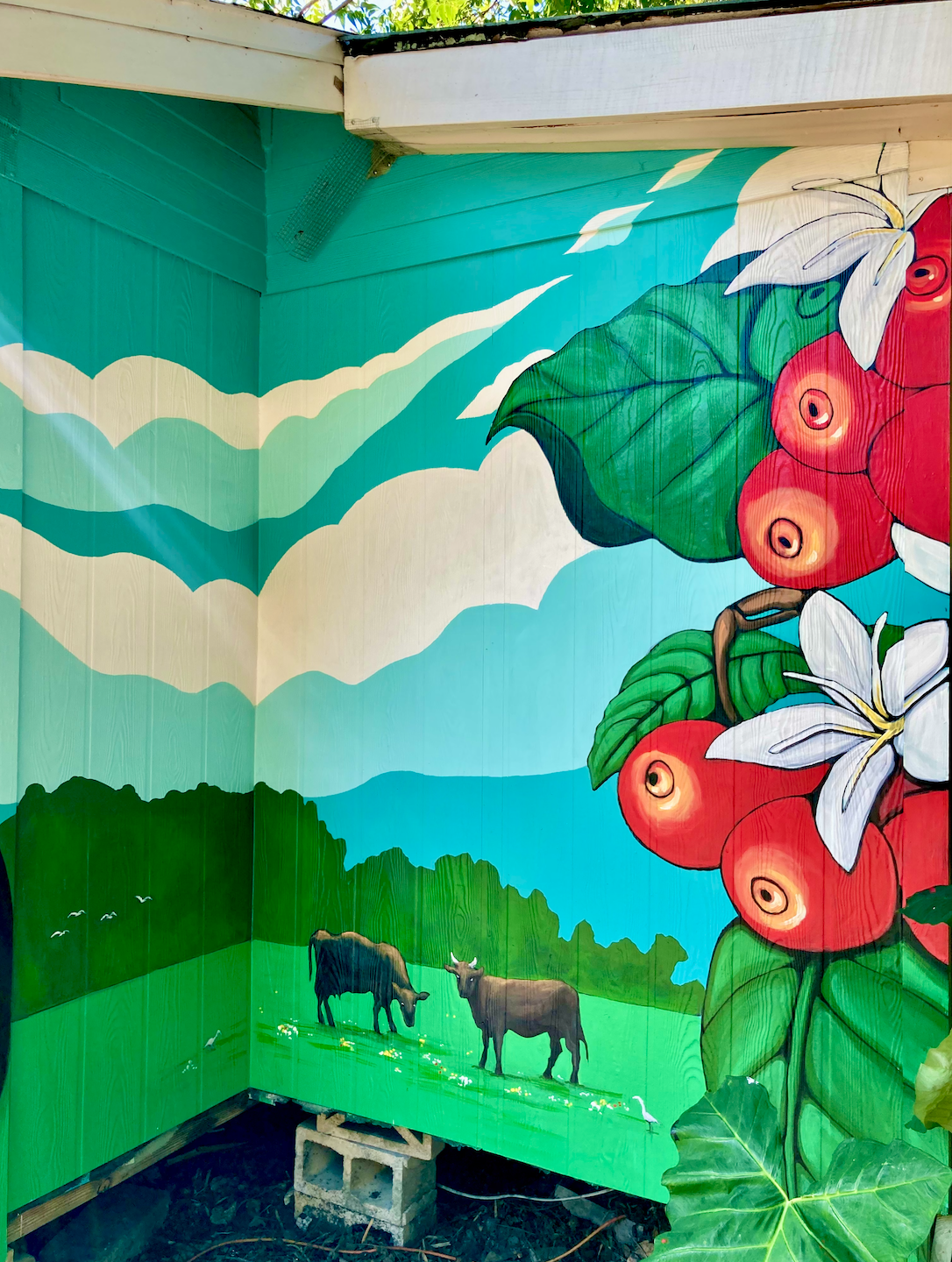 Urban Art Gainesville, Fl
Street Art Gainesville, Fl
Mural Art Gainesville, Fl
Mural Artist Gainesville, Fl
Hand Painted Signs Gainesville, Fl
Fine Art Gainesville, Fl
Hand Painted, Signs Mural, Street Art, Fine Art, Mural Artist, Visionary, Visionar