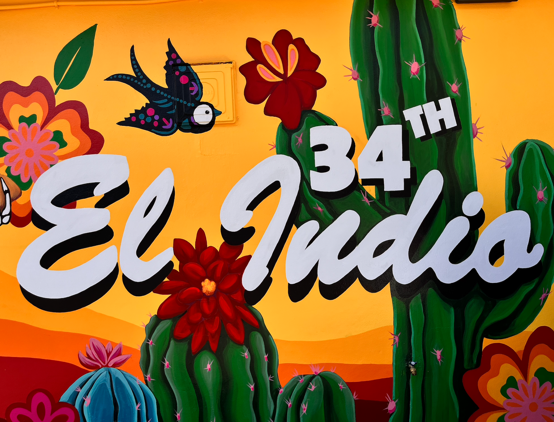 El Indio on 34th
Urban Art Gainesville, Fl
Street Art Gainesville, Fl
Mural Art Gainesville, Fl
Mural Artist Gainesville, Fl
Hand Painted Signs Gainesville, Fl
Fine Art Gainesville, Fl
Hand Painted, Signs Mural, Street Art, Fine Art, Mural Artist, Vi