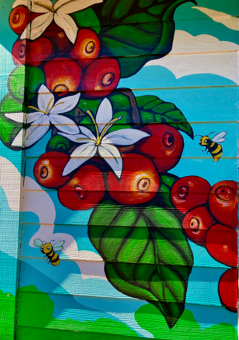 Urban Art Gainesville, Fl
Street Art Gainesville, Fl
Mural Art Gainesville, Fl
Mural Artist Gainesville, Fl
Hand Painted Signs Gainesville, Fl
Fine Art Gainesville, Fl
Hand Painted, Signs Mural, Street Art, Fine Art, Mural Artist, Visionary, Visionar