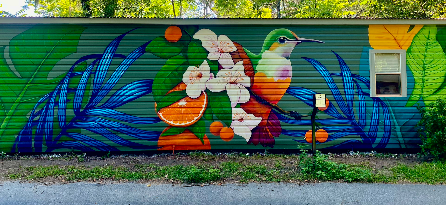 Gainesville Urban Art
Urban Art Gainesville, Fl
Street Art Gainesville, Fl
Mural Art Gainesville, Fl
Mural Artist Gainesville, Fl
Hand Painted Signs Gainesville, Fl
Fine Art Gainesville, Fl
Hand Painted, Signs Mural, Street Art, Fine Art, Mural Artis