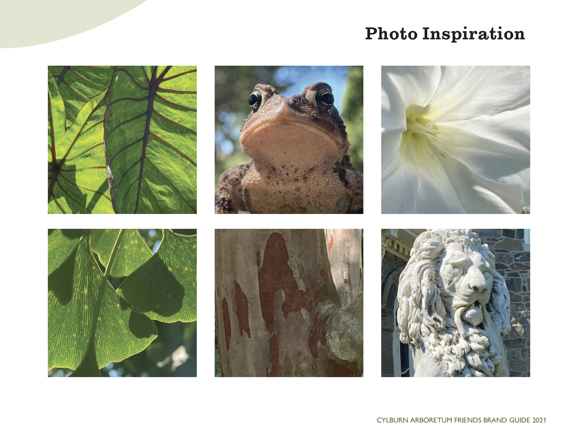 Screen Shot 2023-01-10 at 2.46.50 PM.png