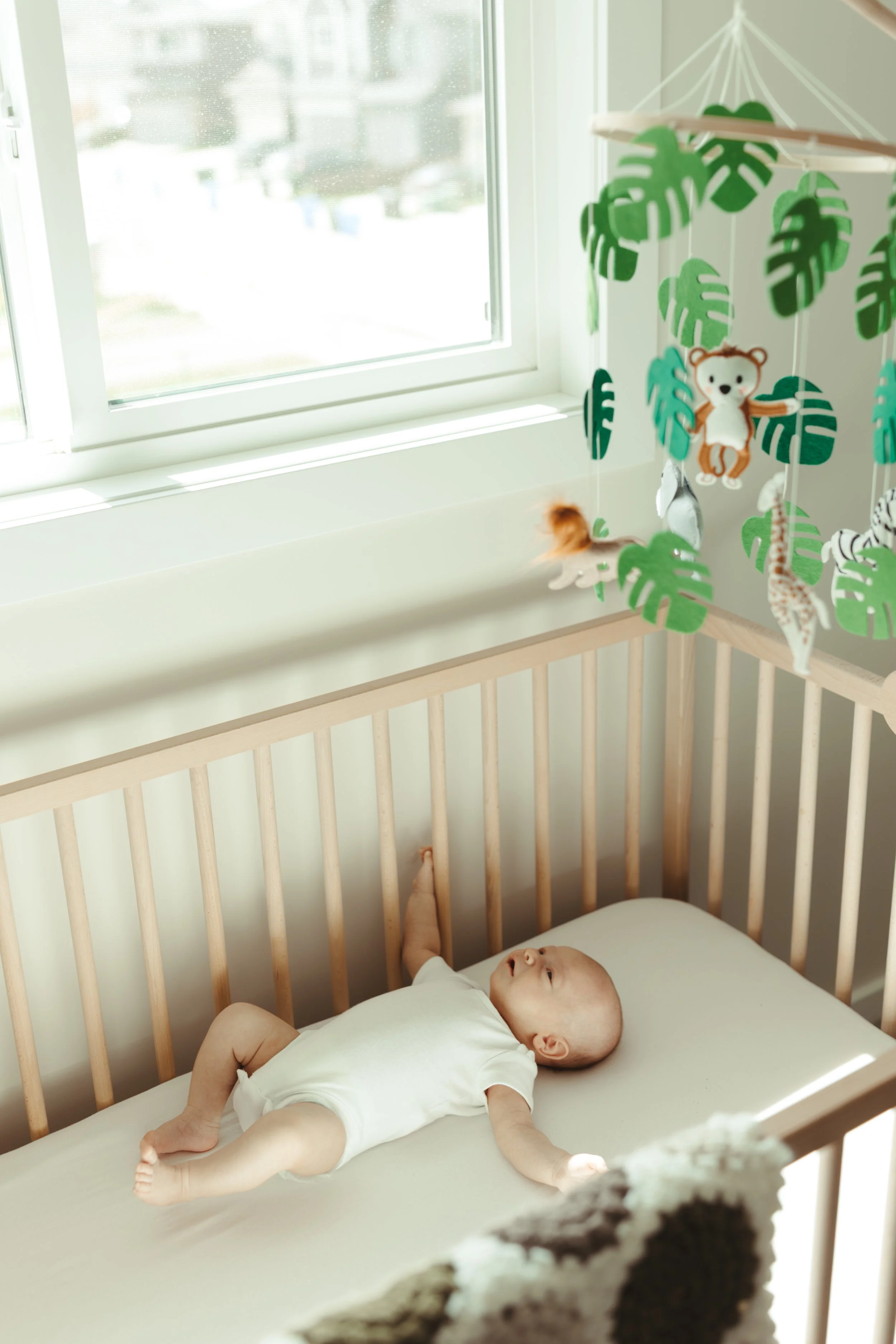 Bukauskas_newborn-103.jpg