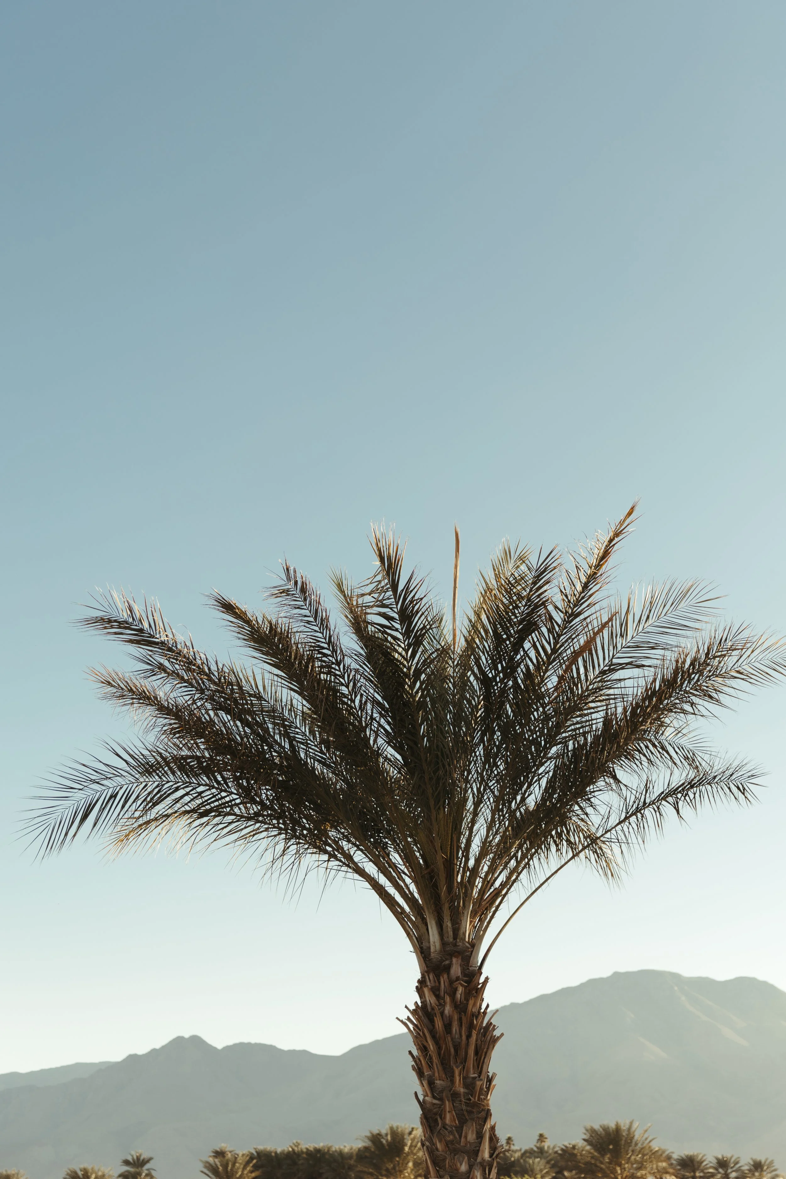 B+J_reception-34.jpg